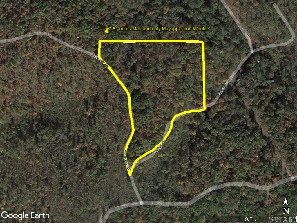 229 Mayapple Road Property Photo 1
