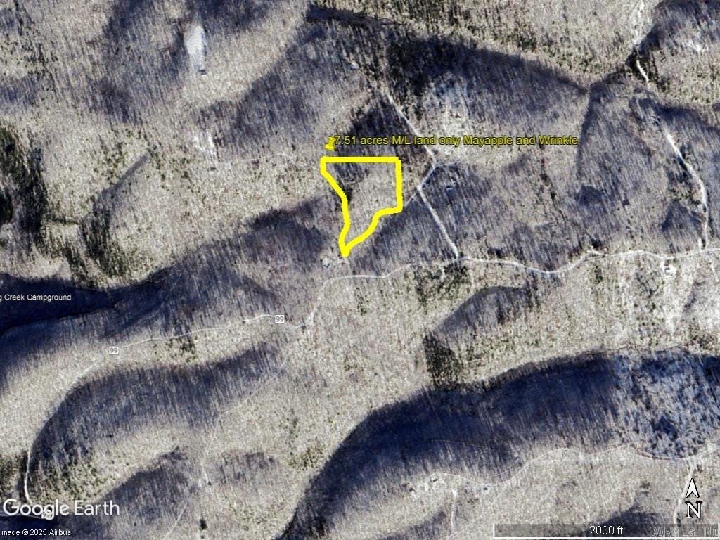 229 Mayapple Road Property Photo 3