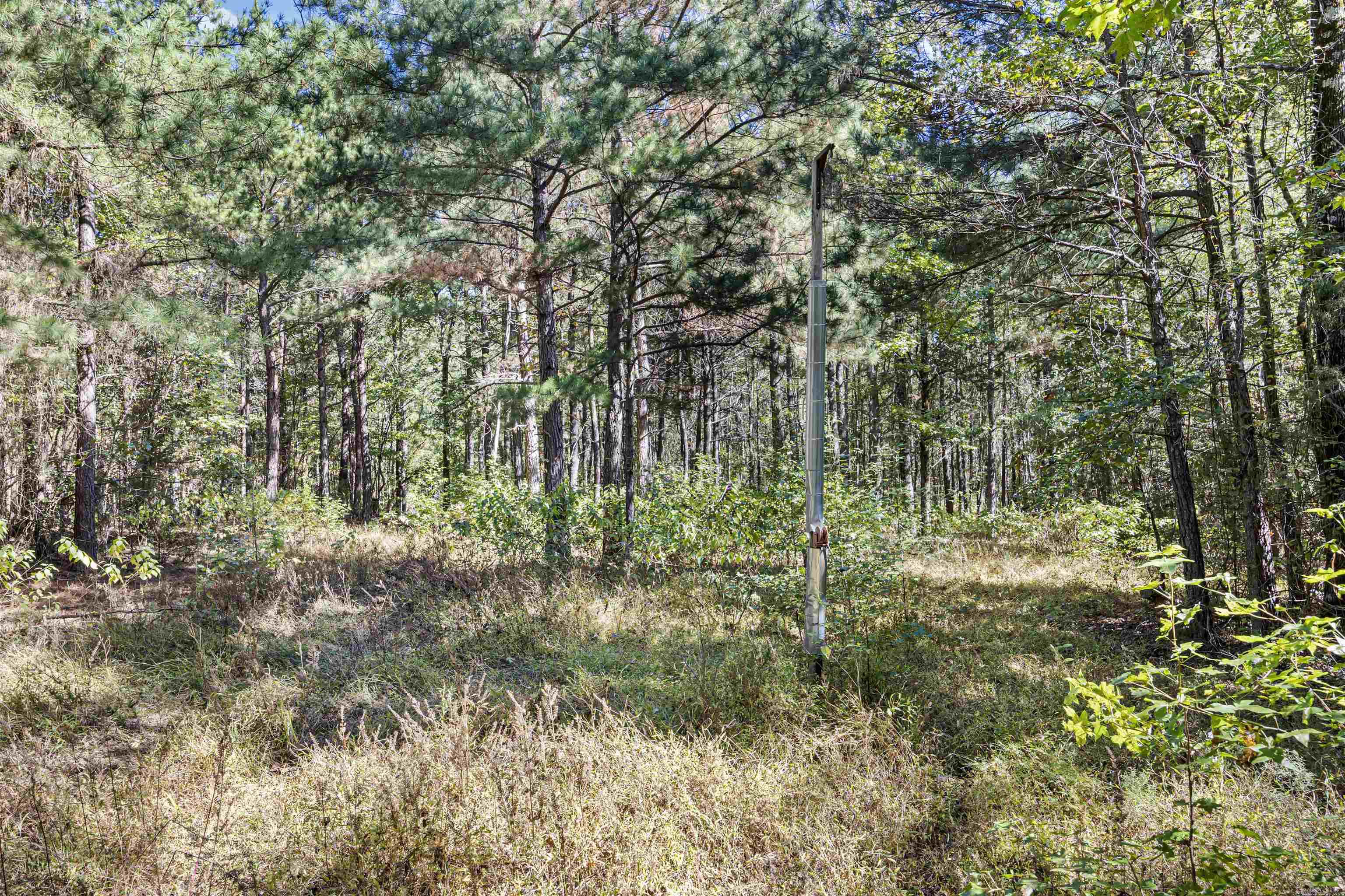 000 County Rd 4200 Property Photo 5