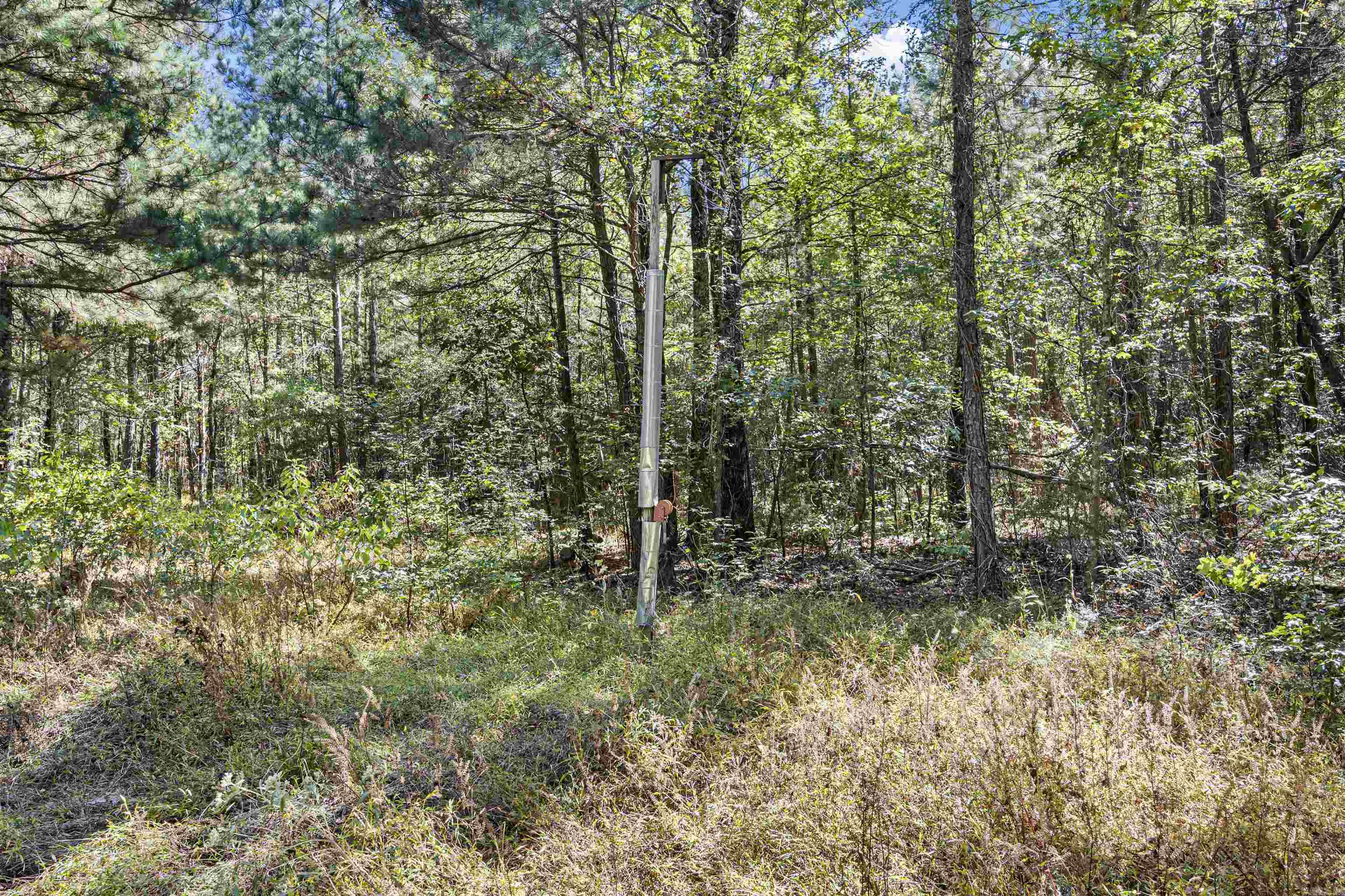 000 County Rd 4200 Property Photo 6