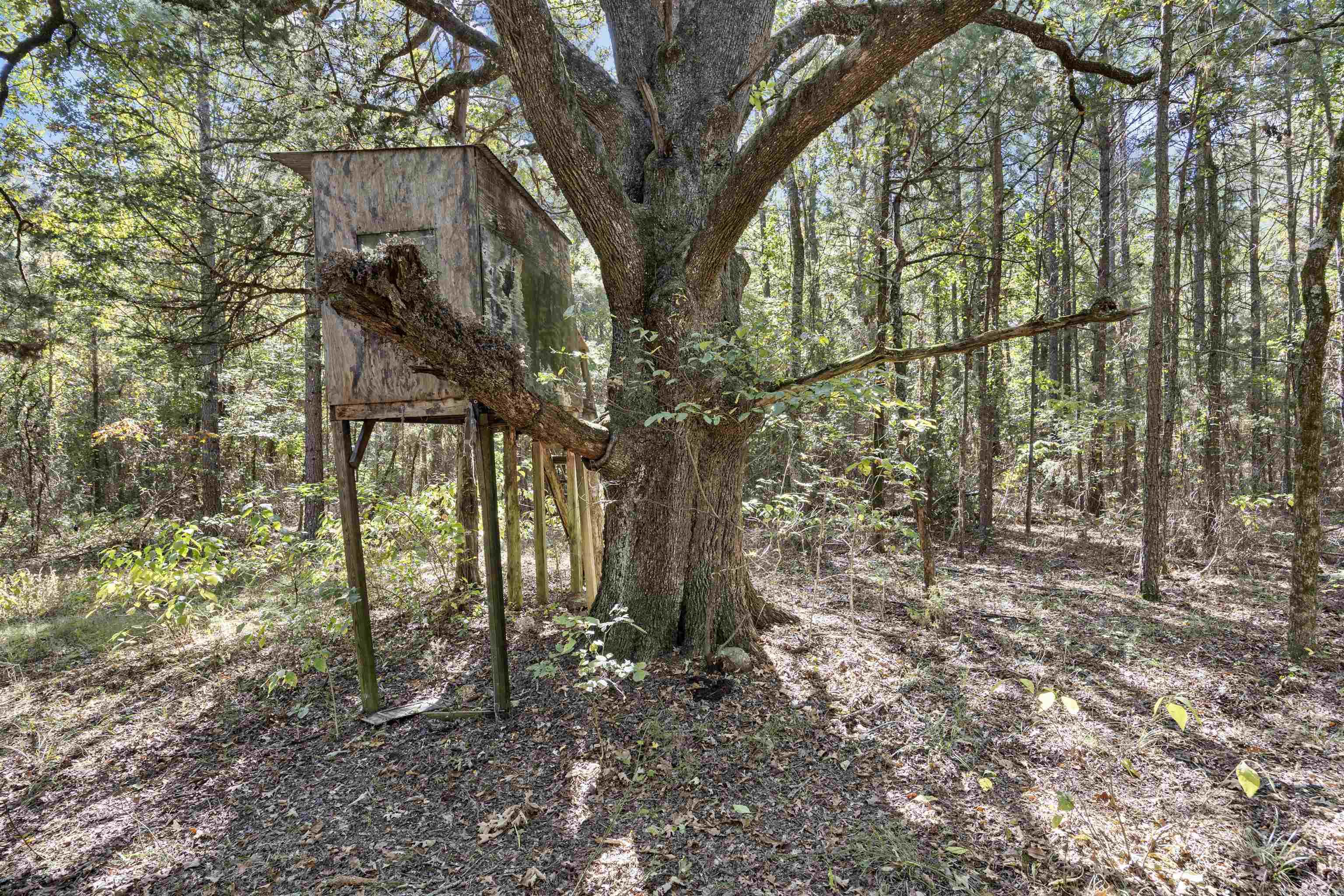000 County Rd 4200 Property Photo 7
