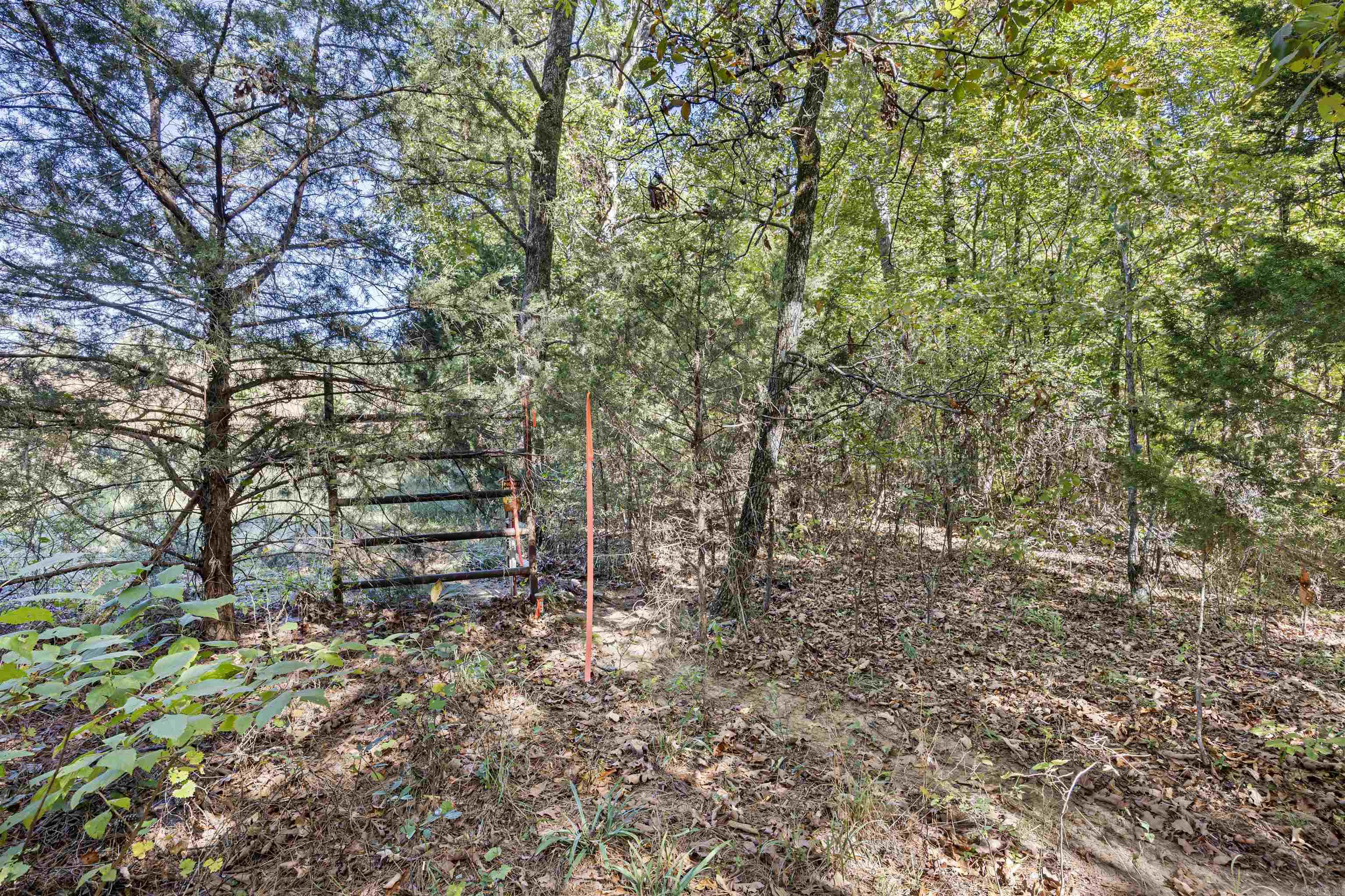 000 County Rd 4200 Property Photo 13