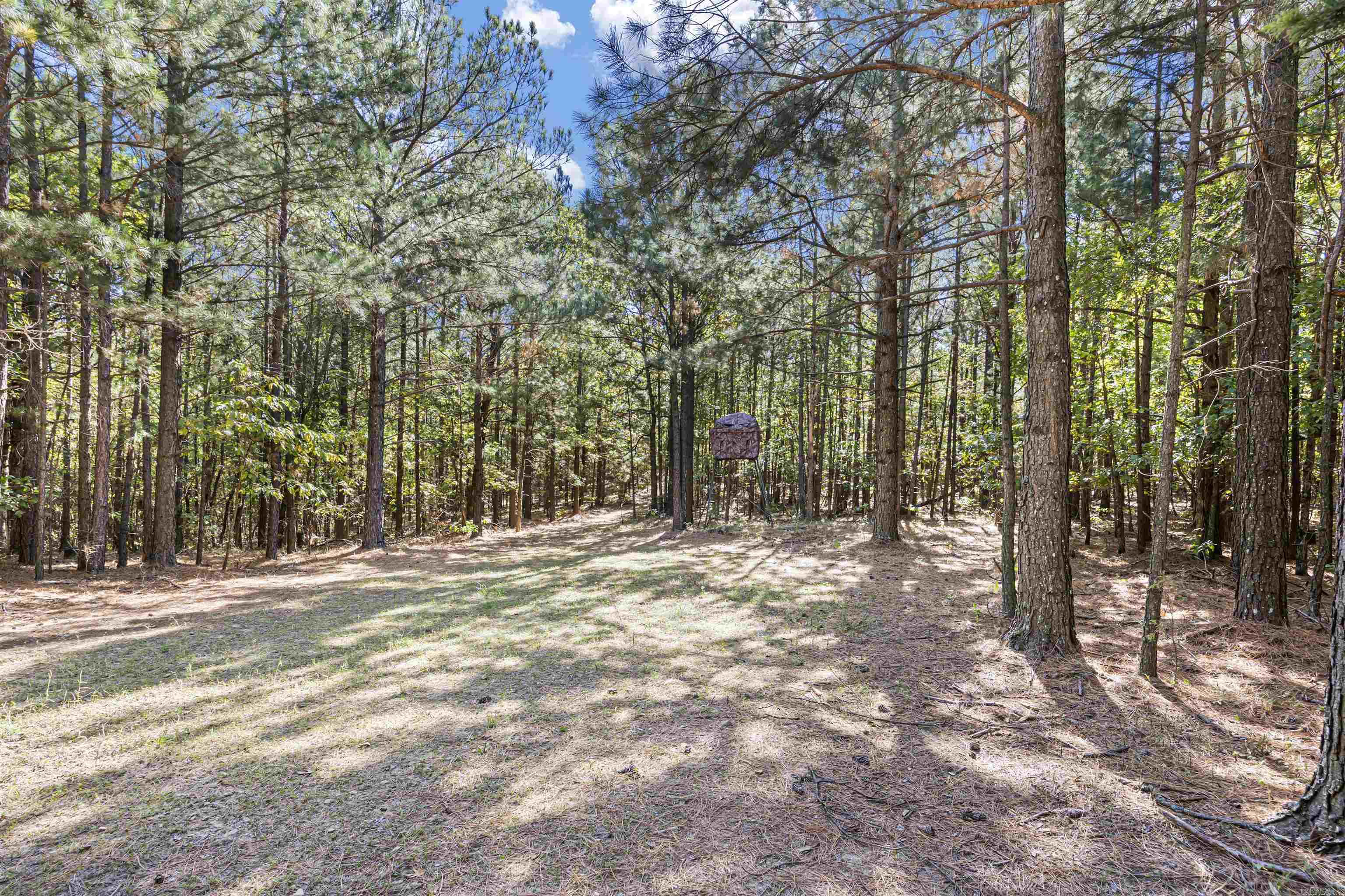 000 County Rd 4200 Property Photo 14