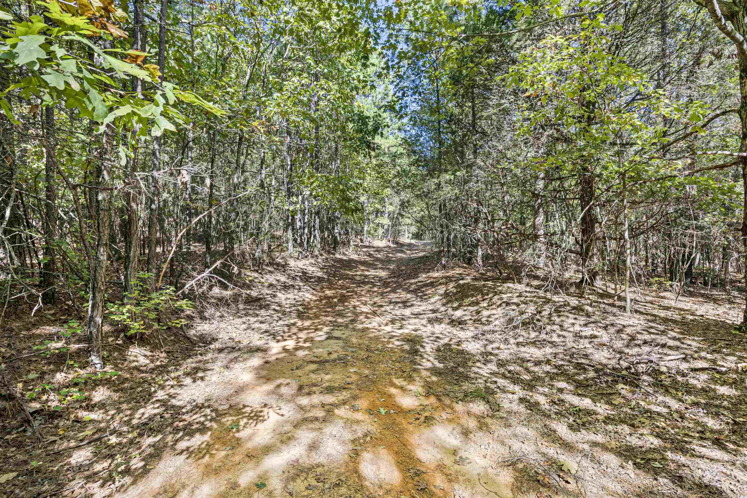 000 County Rd 4200 Property Photo 24