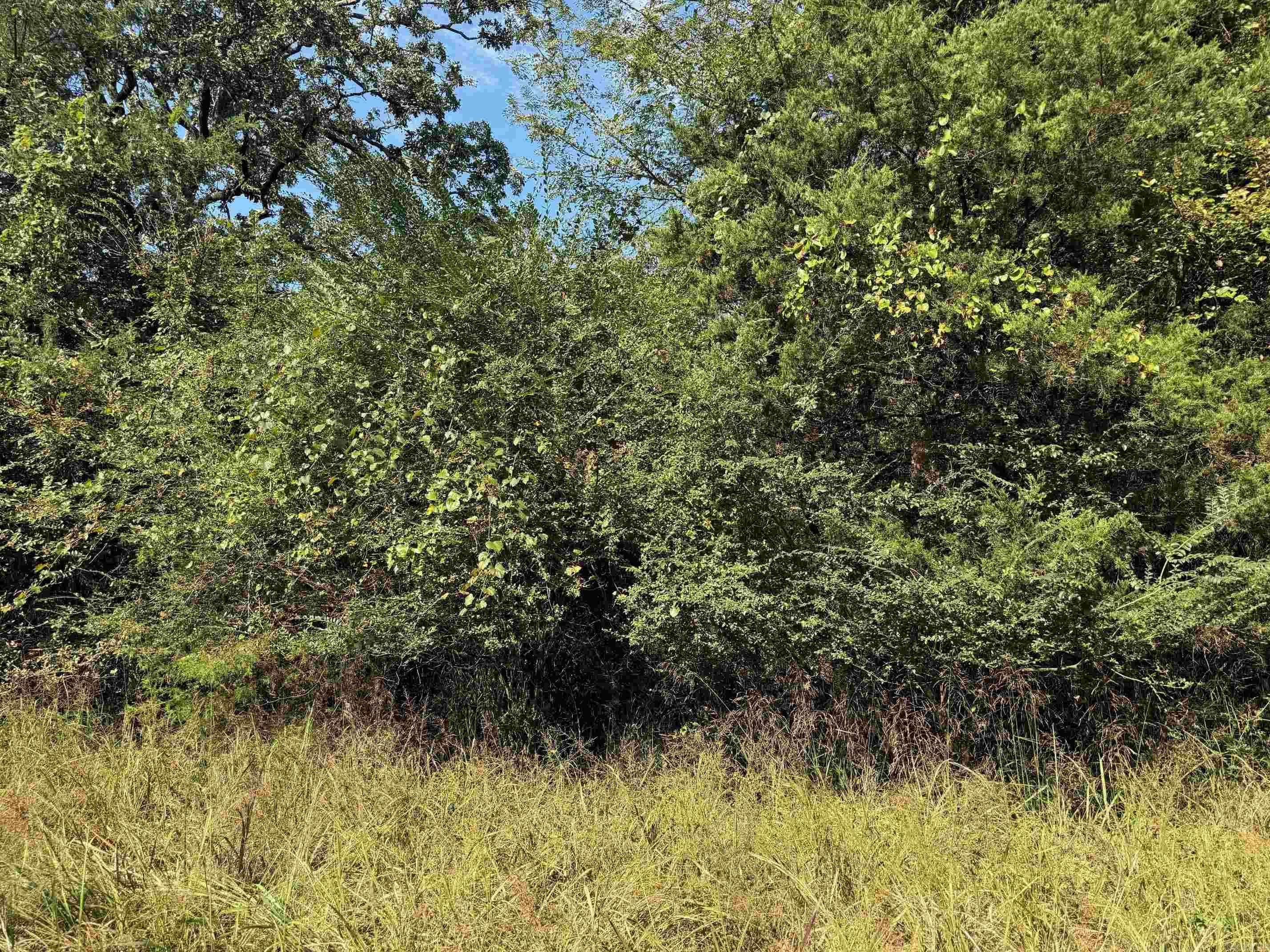 186 Wayback Lane Property Photo 1