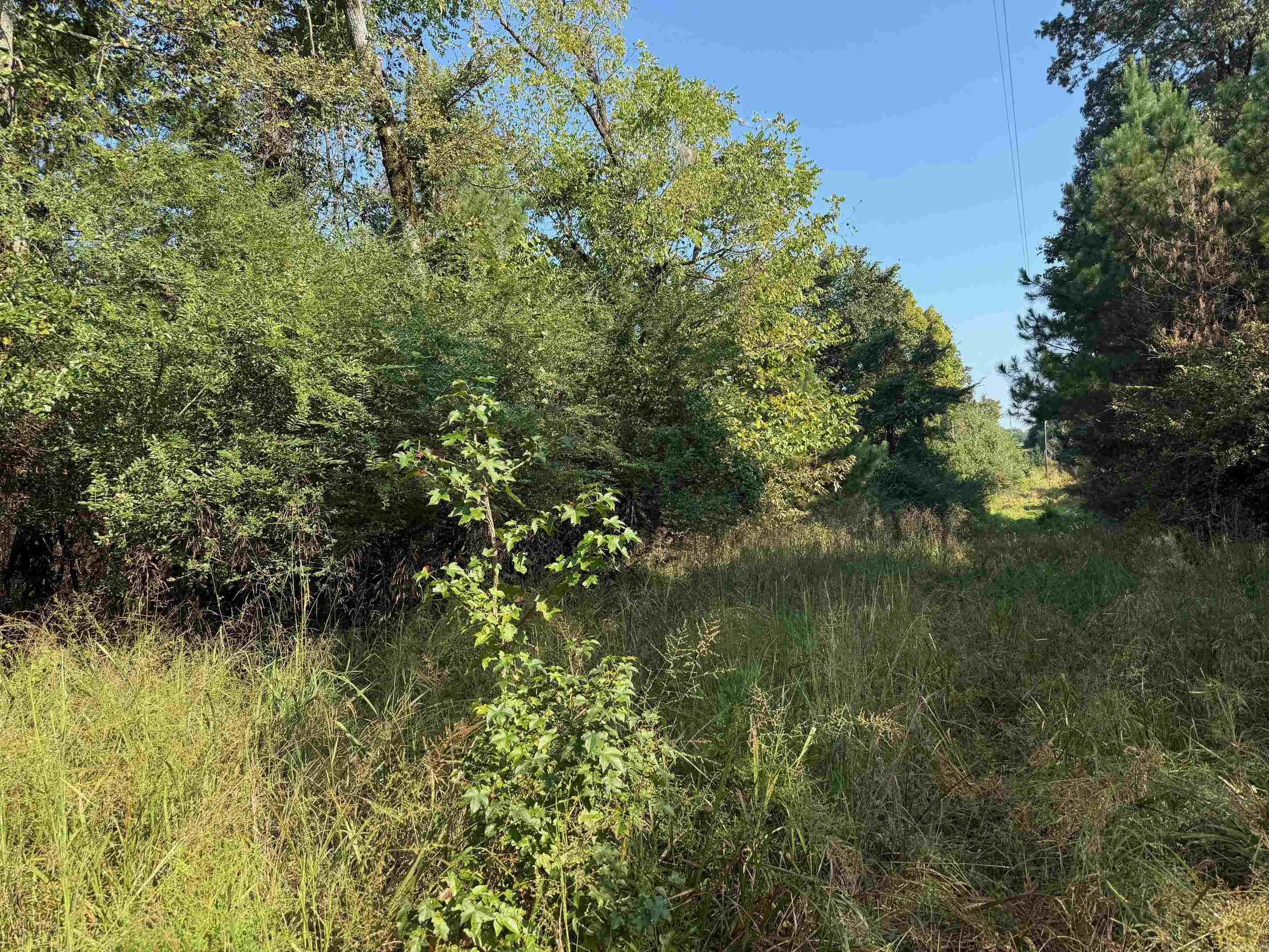 186 Wayback Lane Property Photo 2