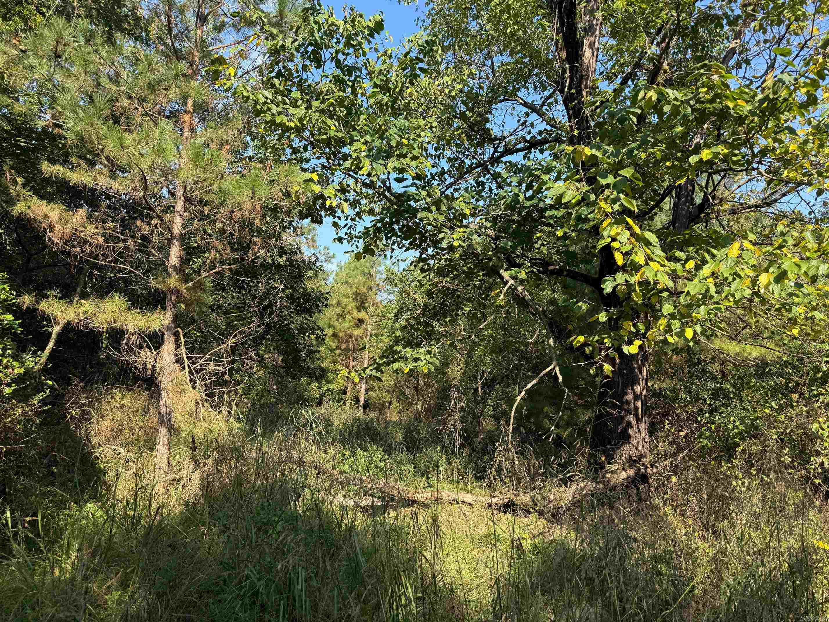 186 Wayback Lane Property Photo 3