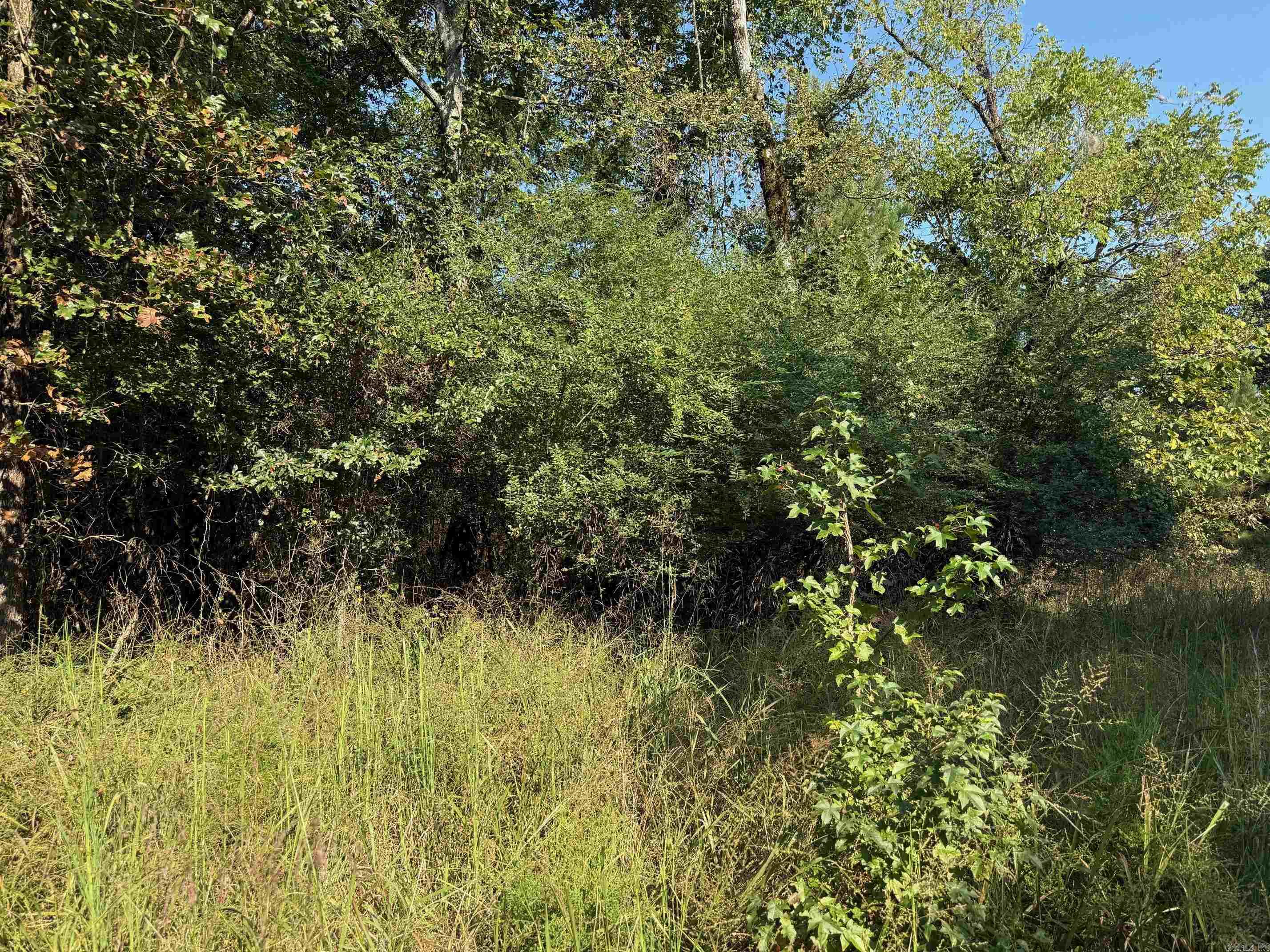 186 Wayback Lane Property Photo 4