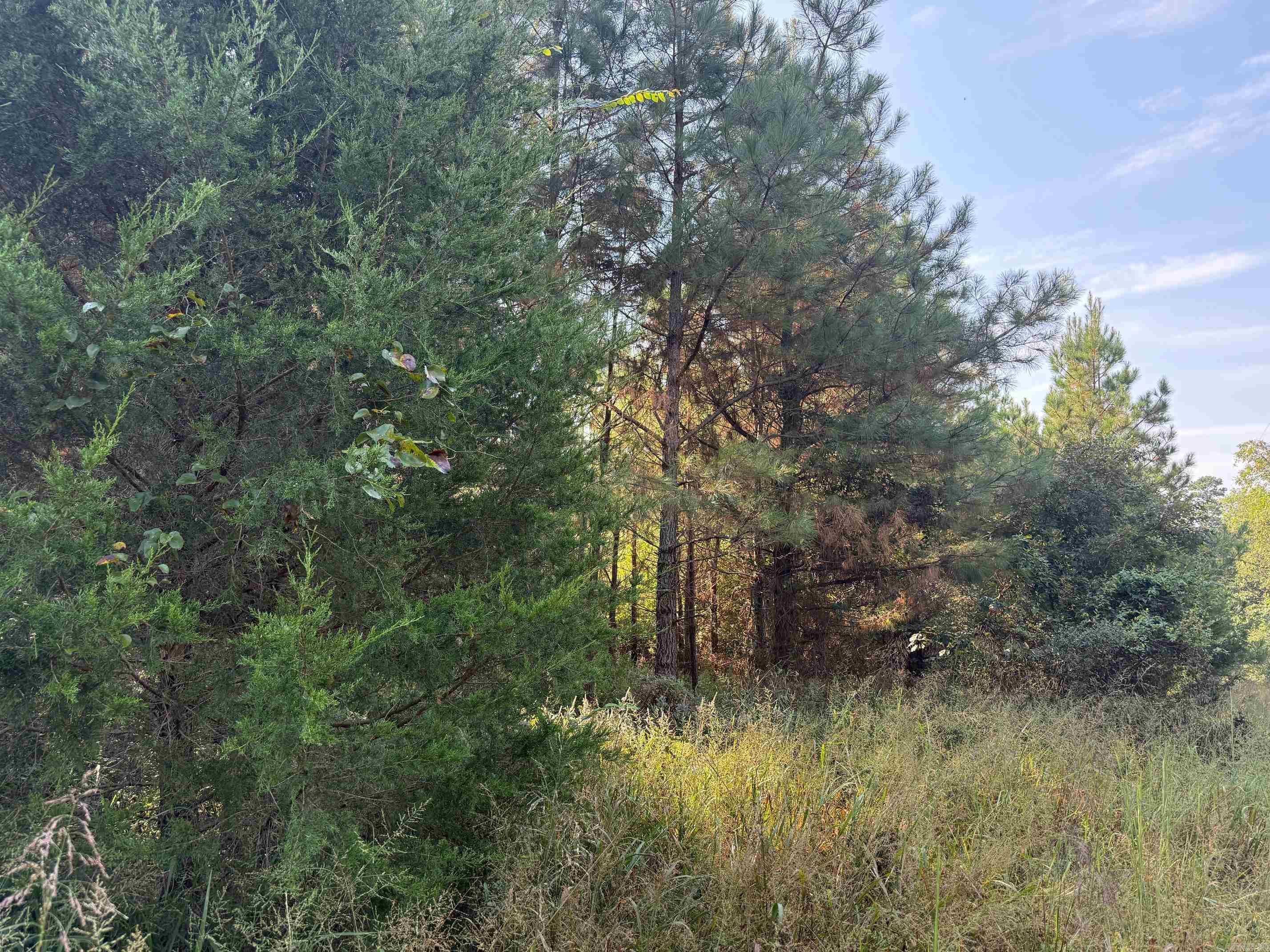 186 Wayback Lane Property Photo 8