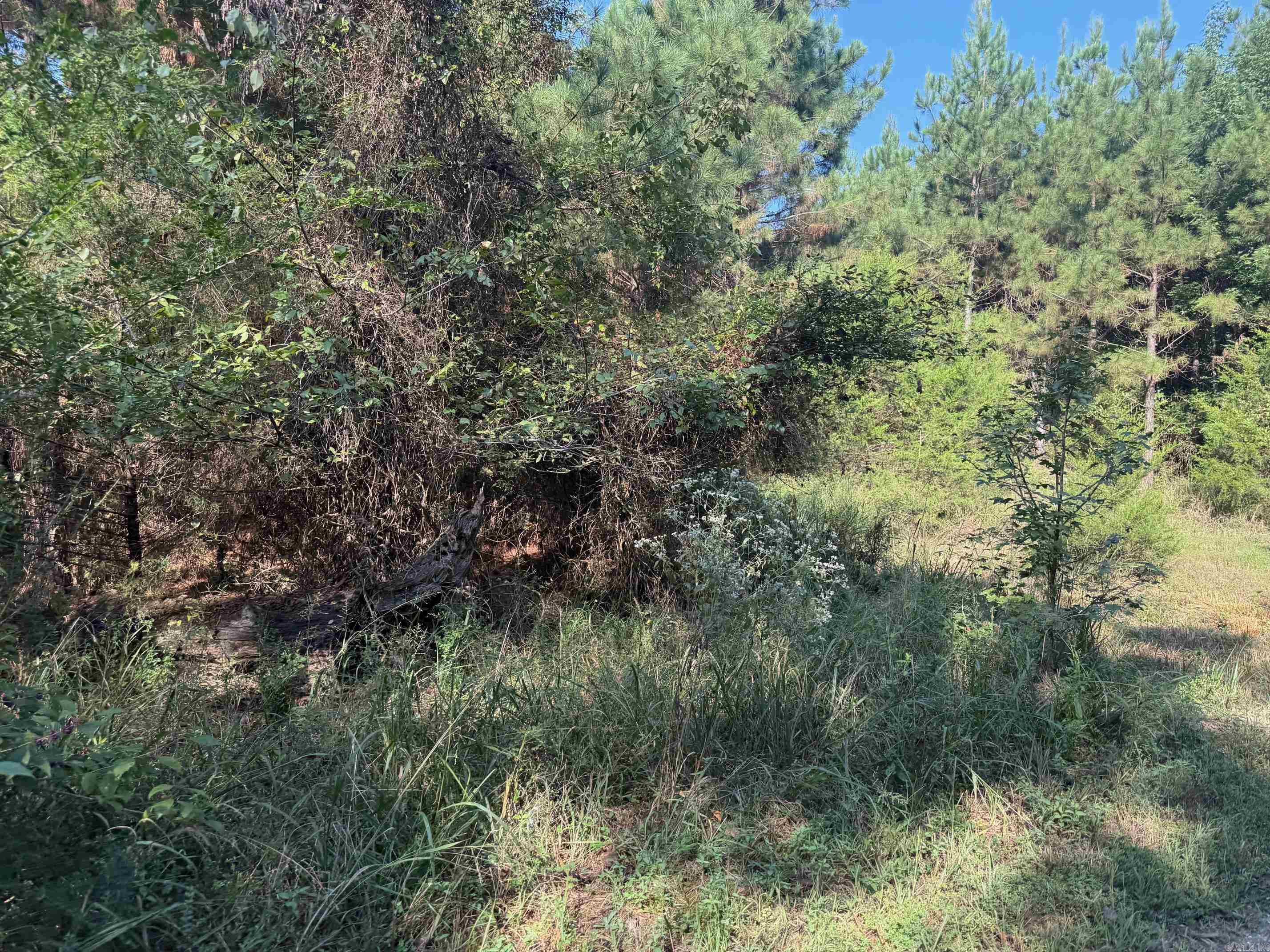 186 Wayback Lane Property Photo 12