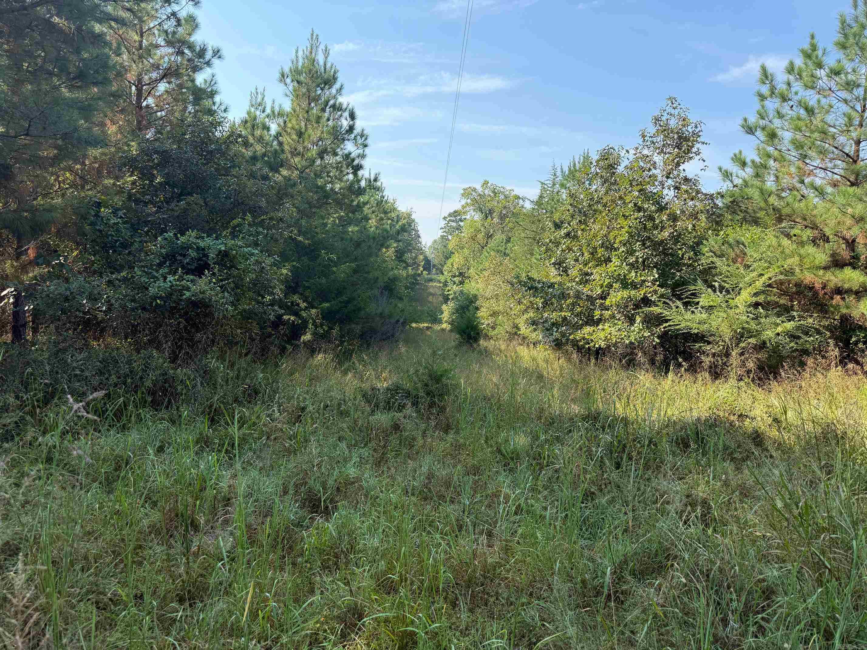 186 Wayback Lane Property Photo 13