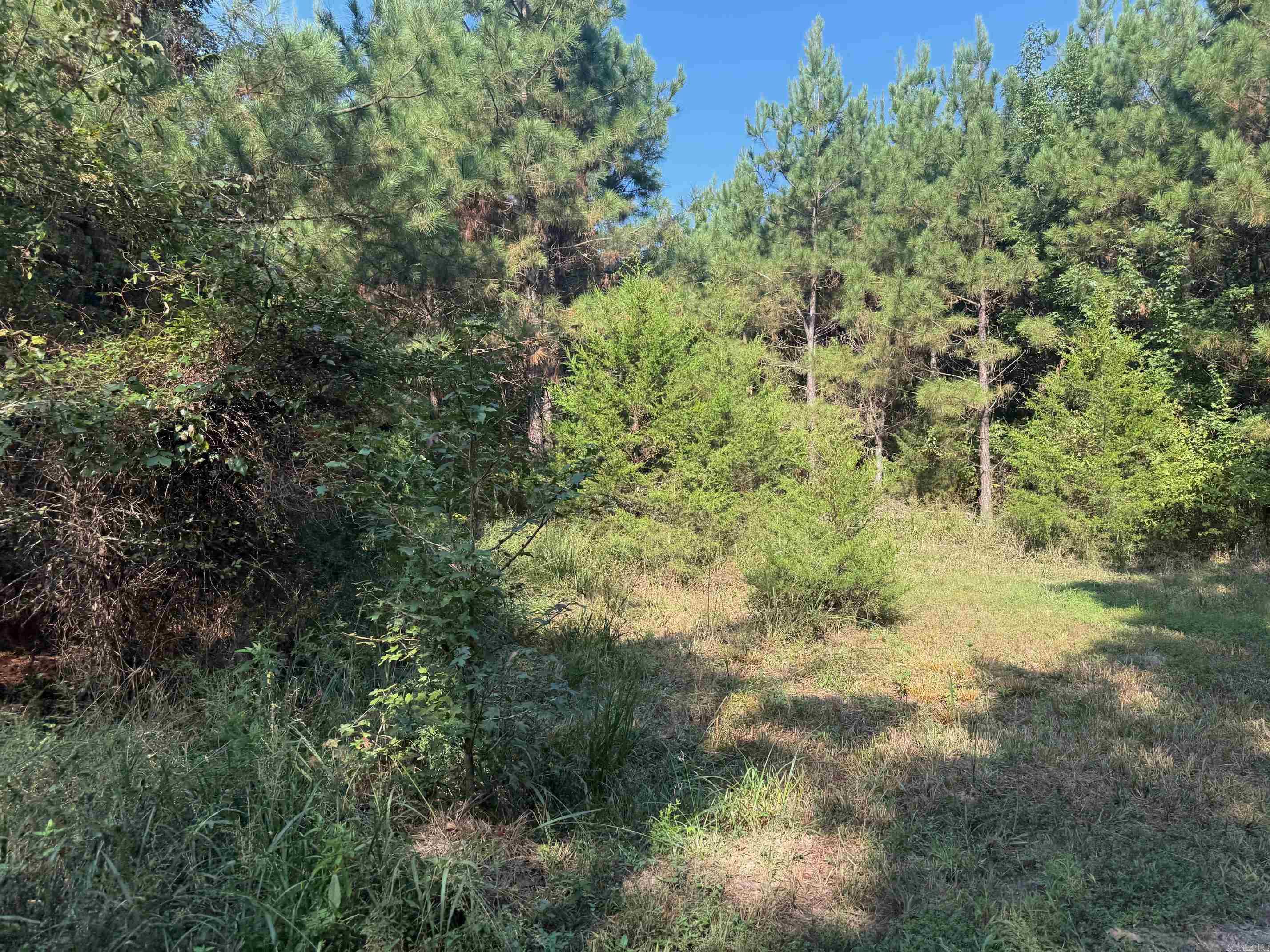 186 Wayback Lane Property Photo 14