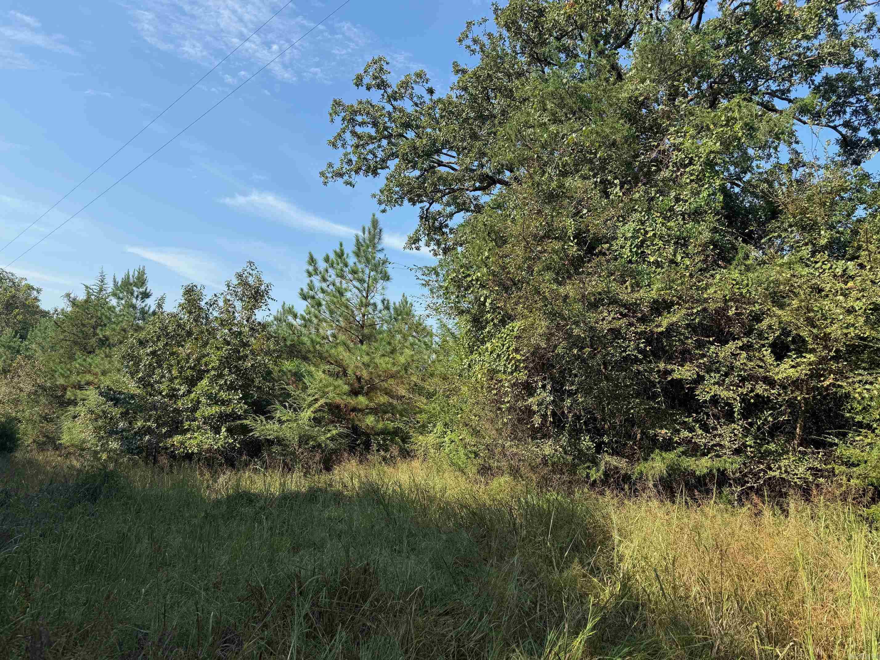 186 Wayback Lane Property Photo 15