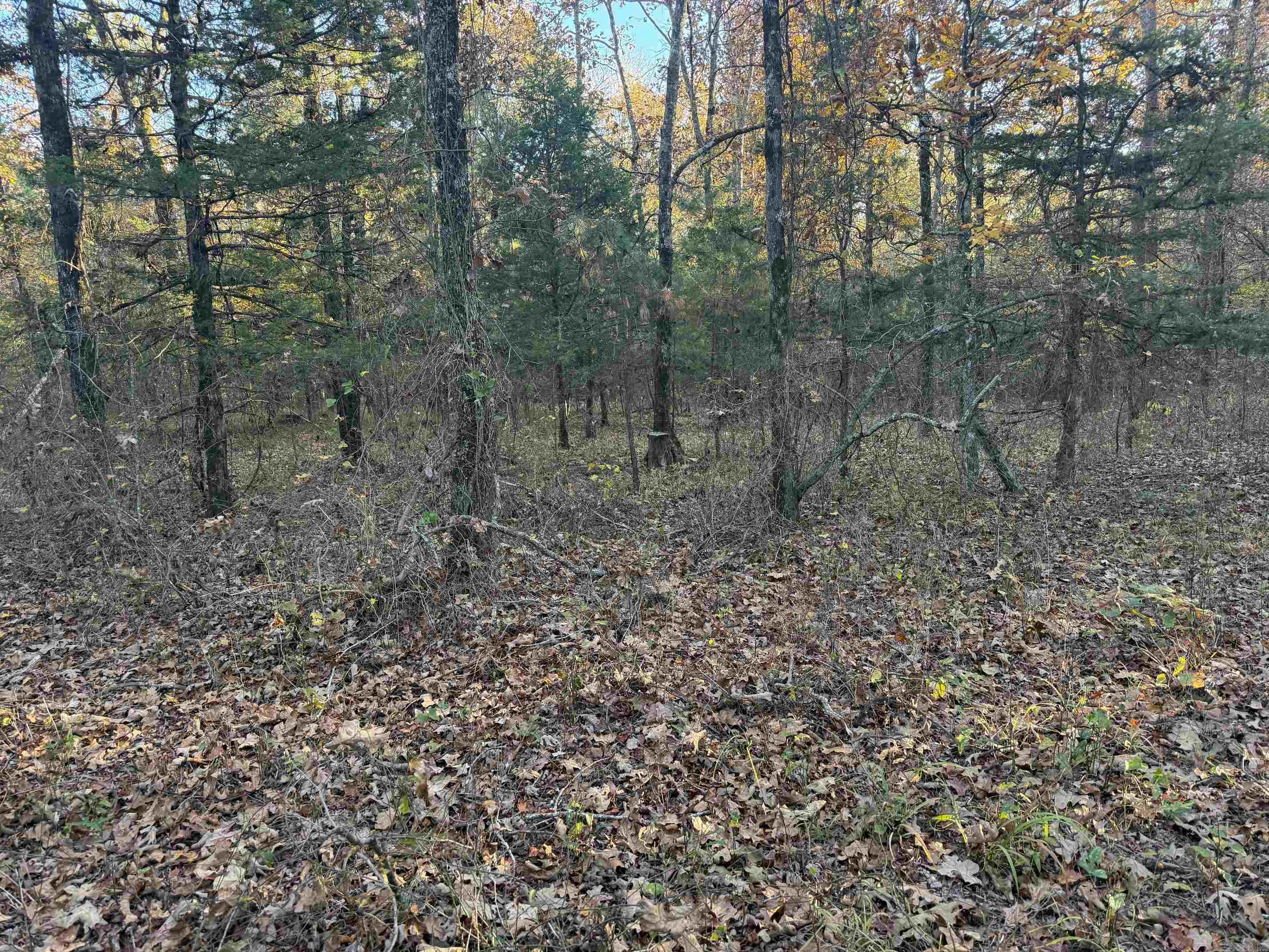 9999 Easement Road Property Photo 1