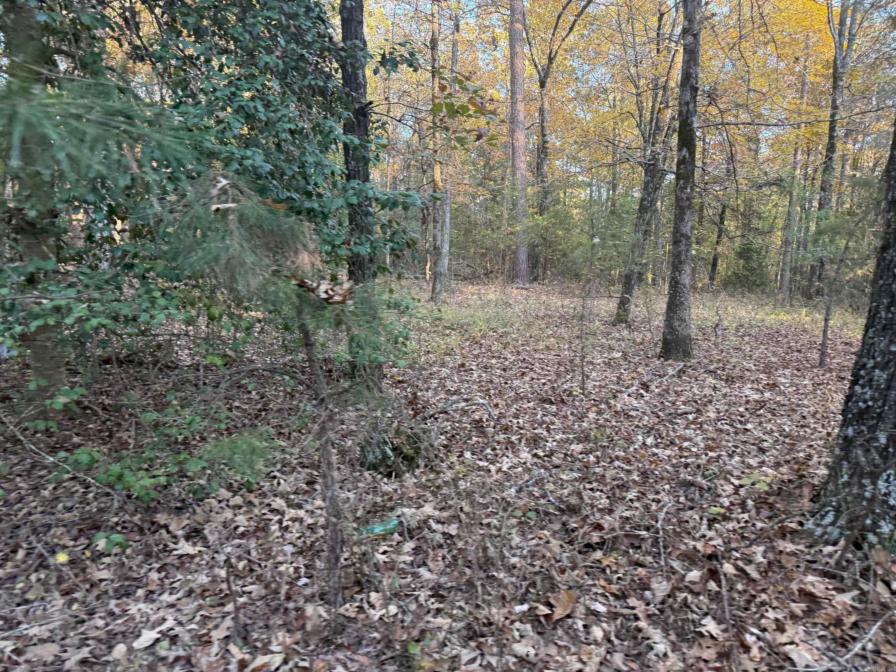 9999 Easement Road Property Photo 2
