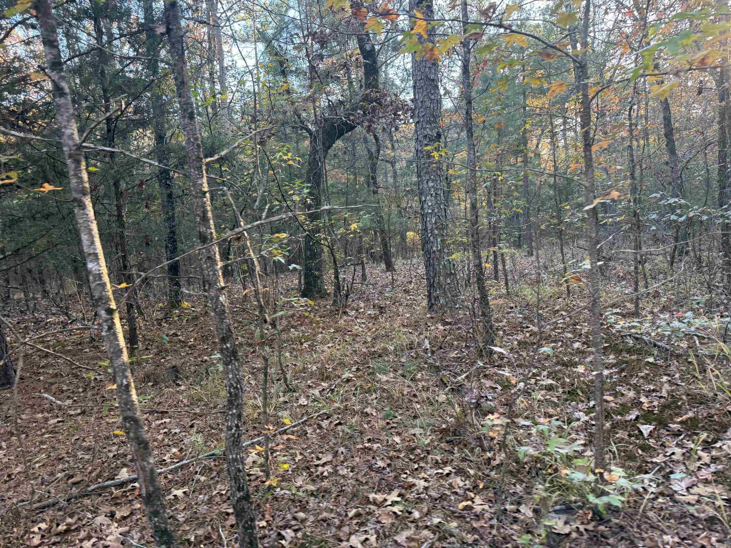 9999 Easement Road Property Photo 3