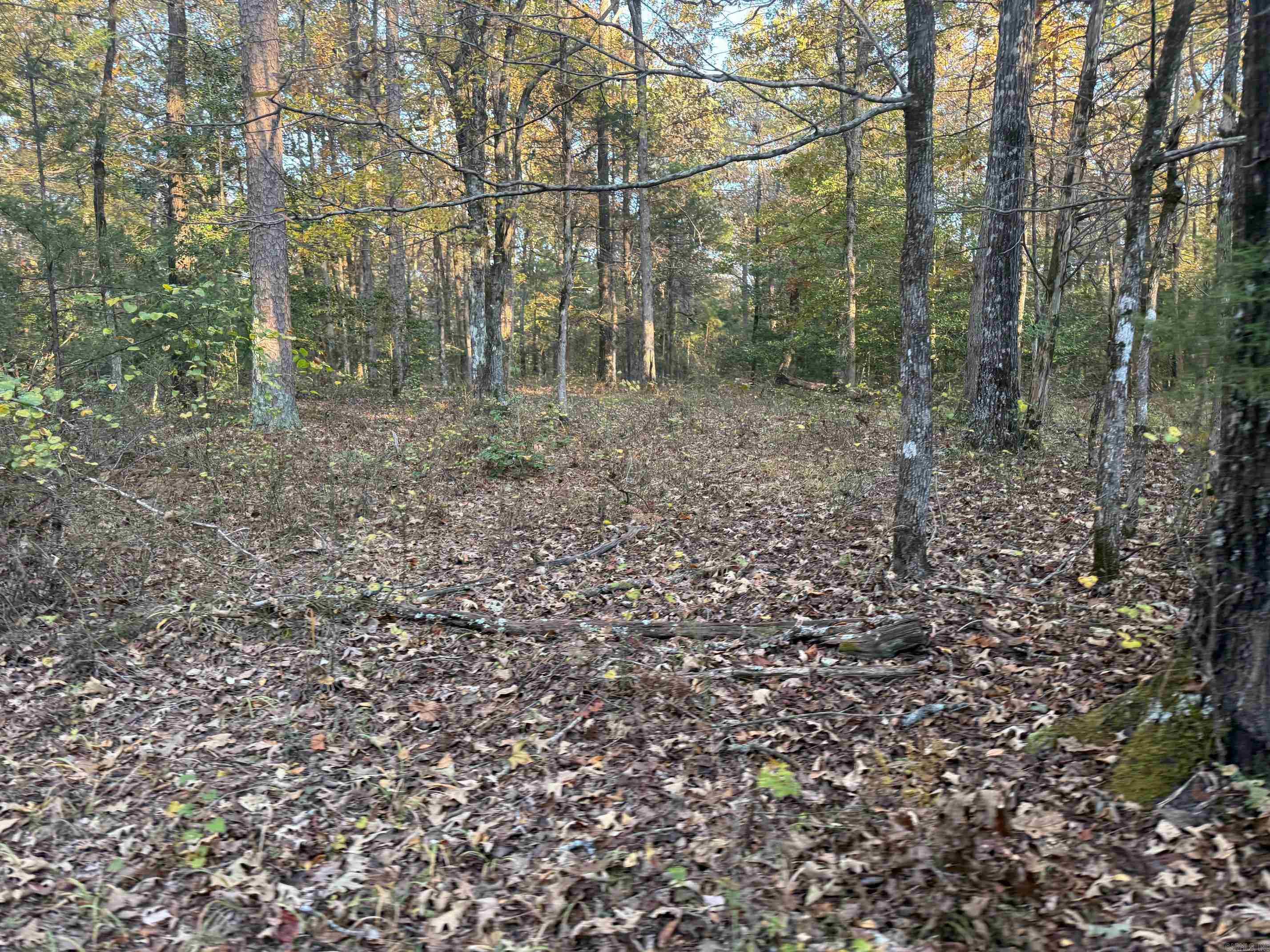 9999 Easement Road Property Photo 4