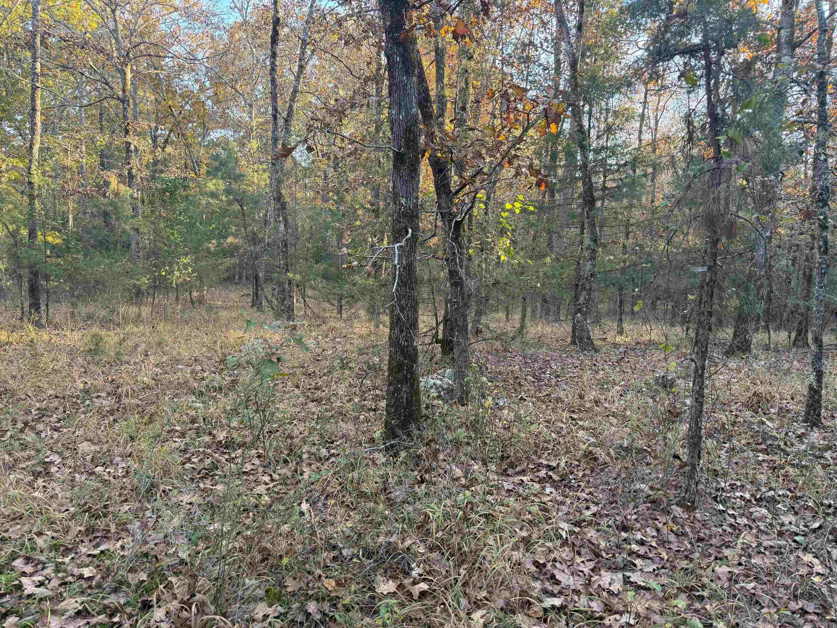 9999 Easement Road Property Photo 5