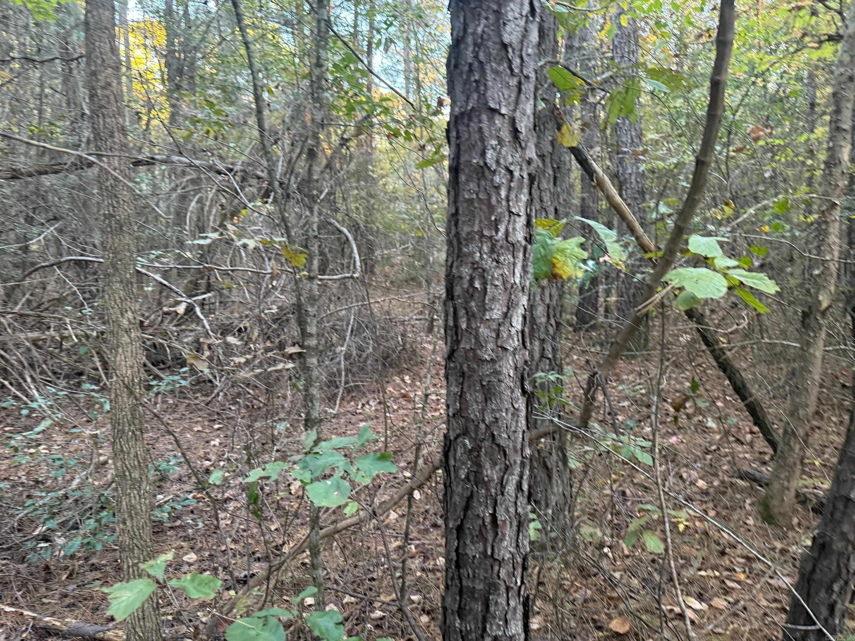 9999 Easement Road Property Photo 6