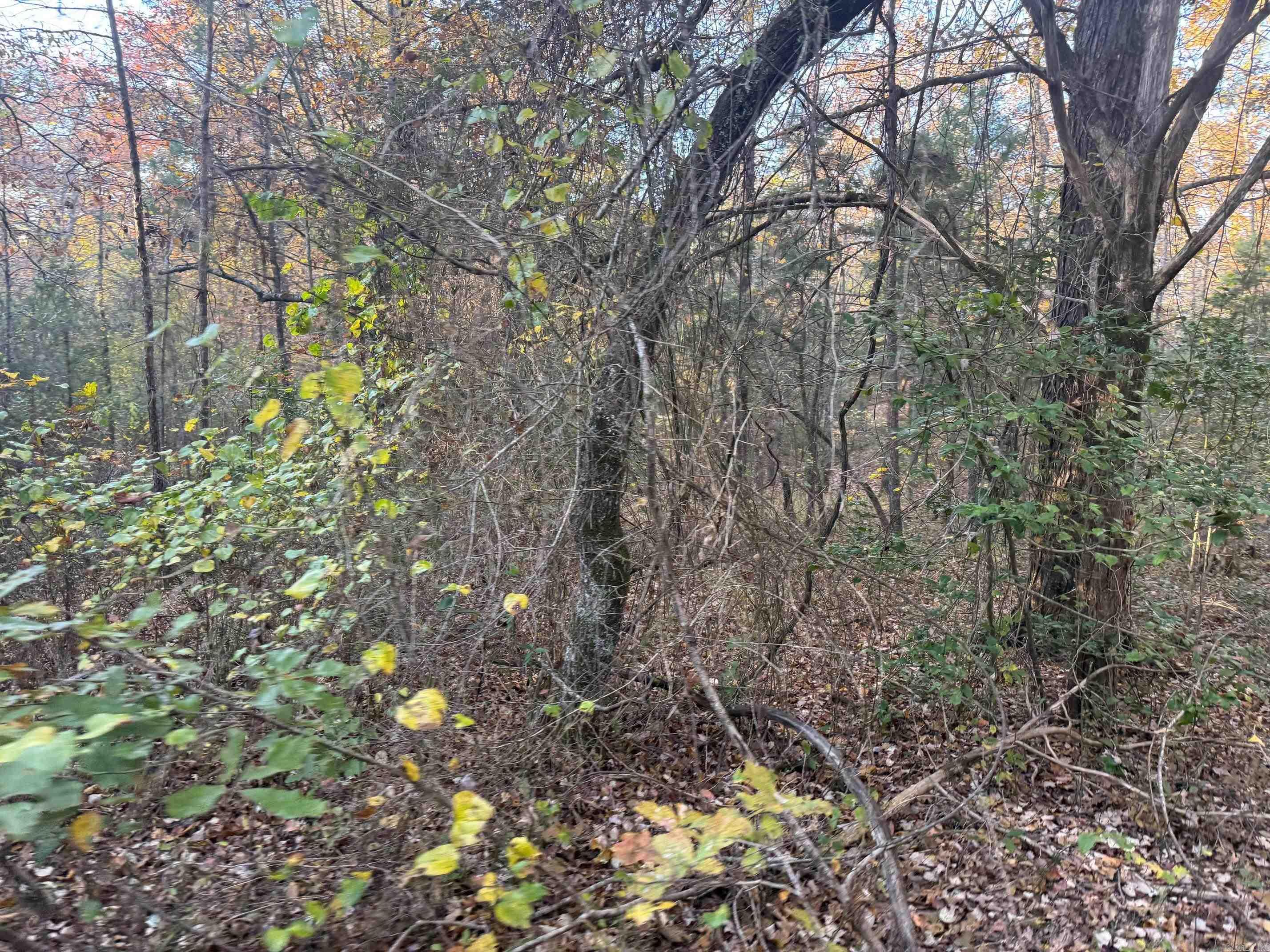 9999 Easement Road Property Photo 7