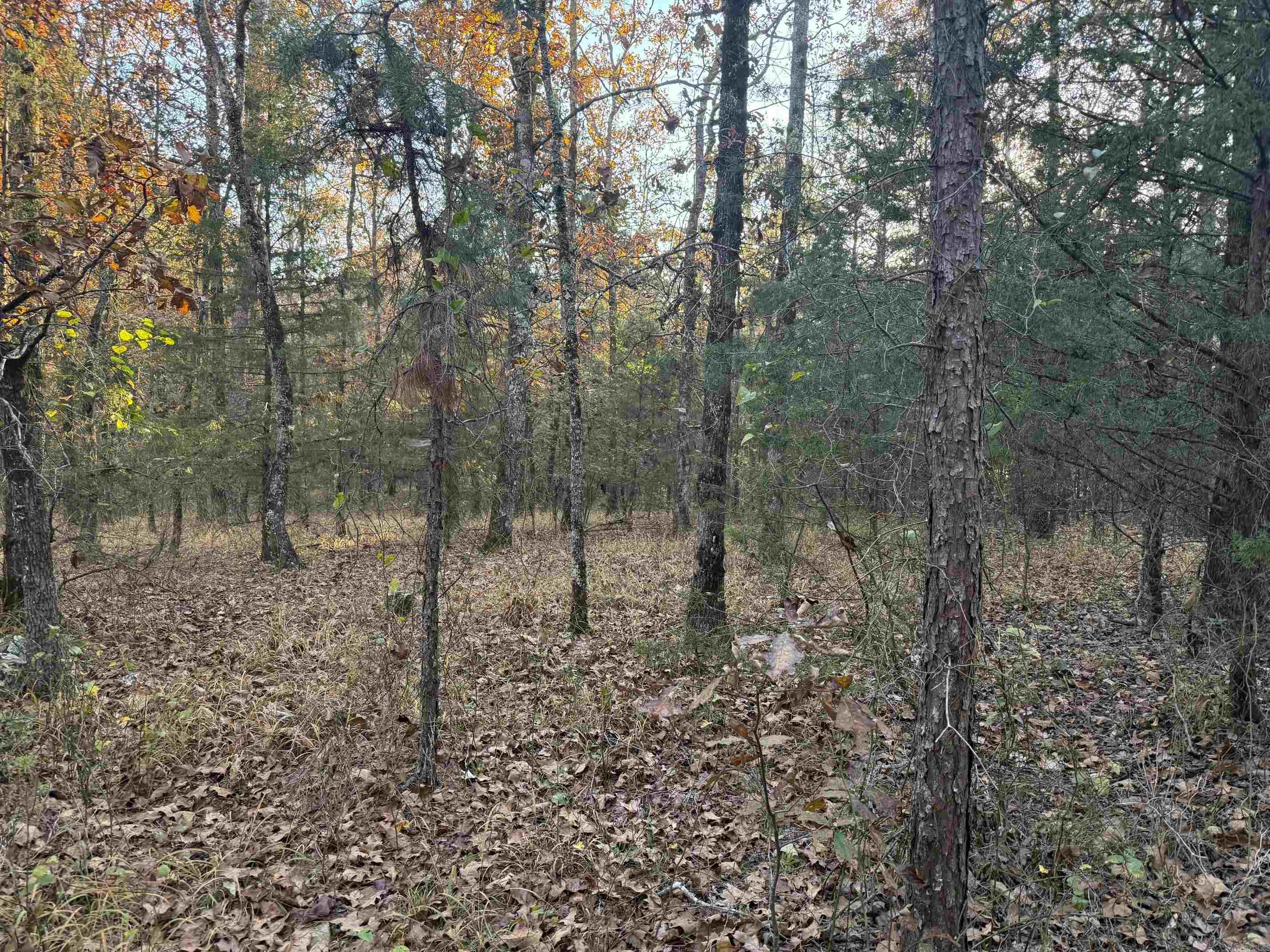 9999 Easement Road Property Photo 8