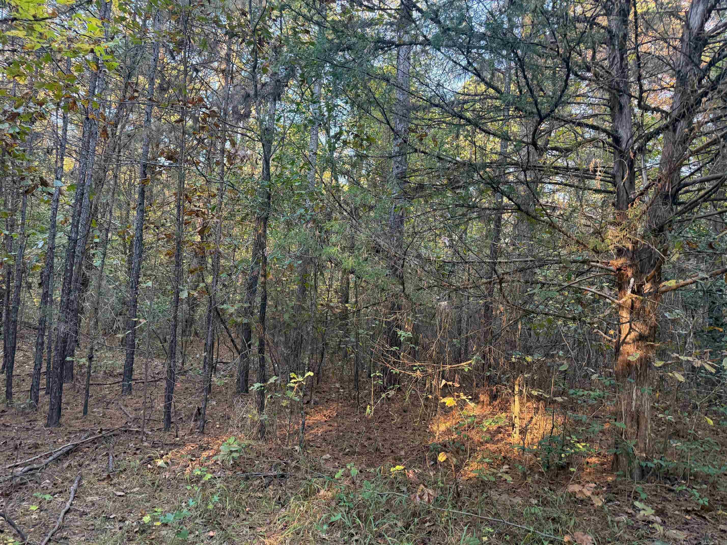 9999 Easement Road Property Photo 9