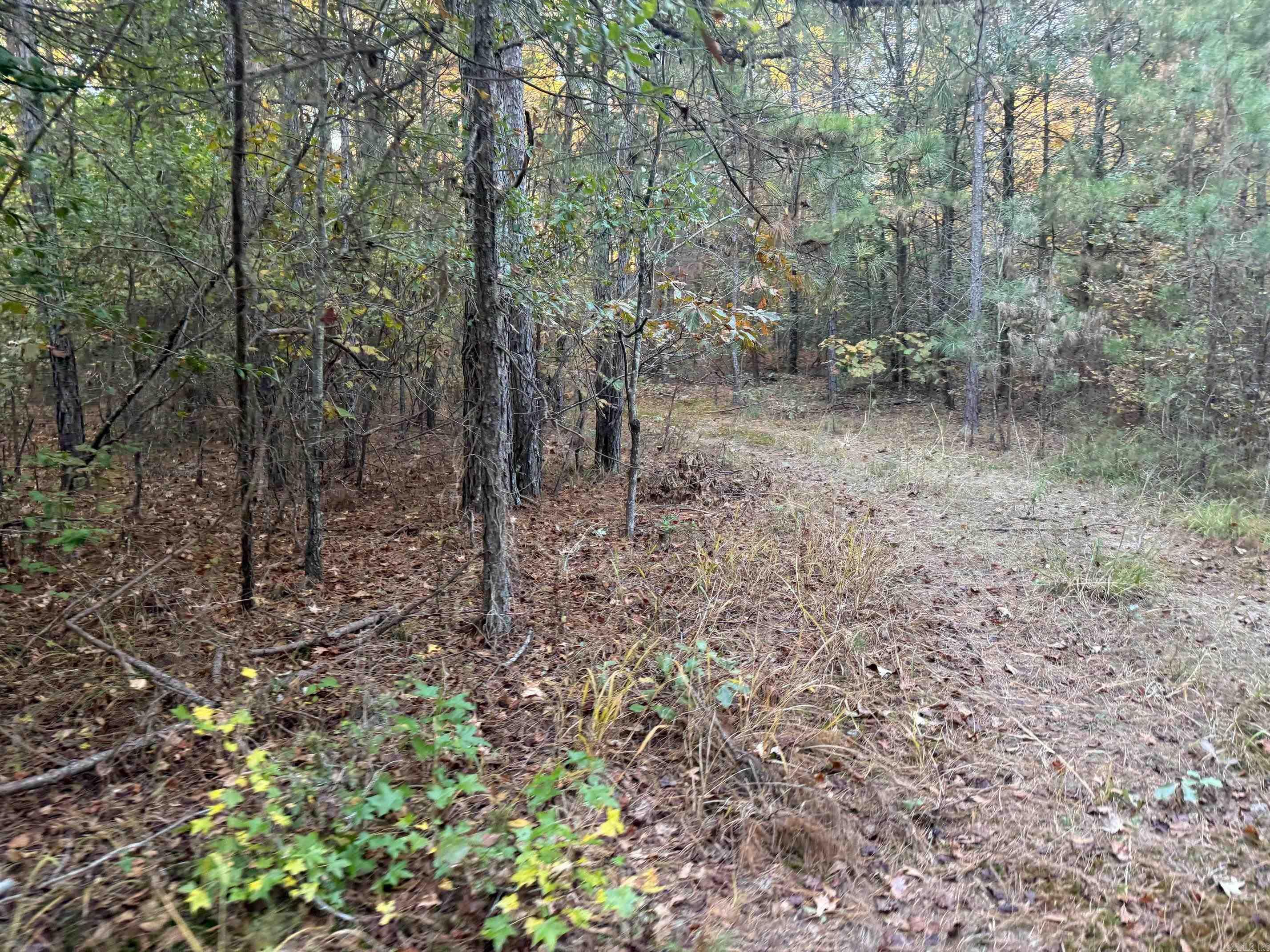 9999 Easement Road Property Photo 10