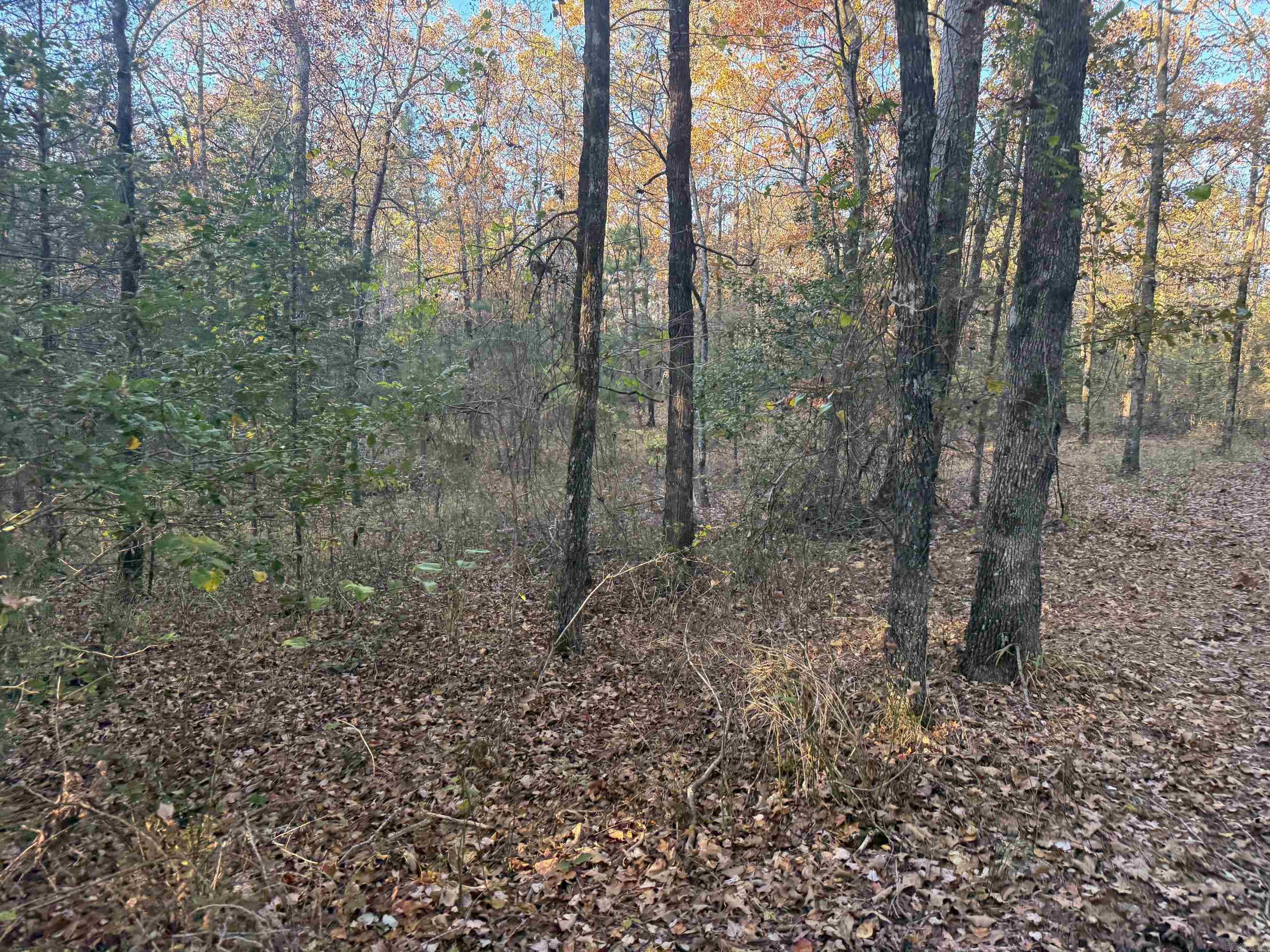9999 Easement Road Property Photo 11