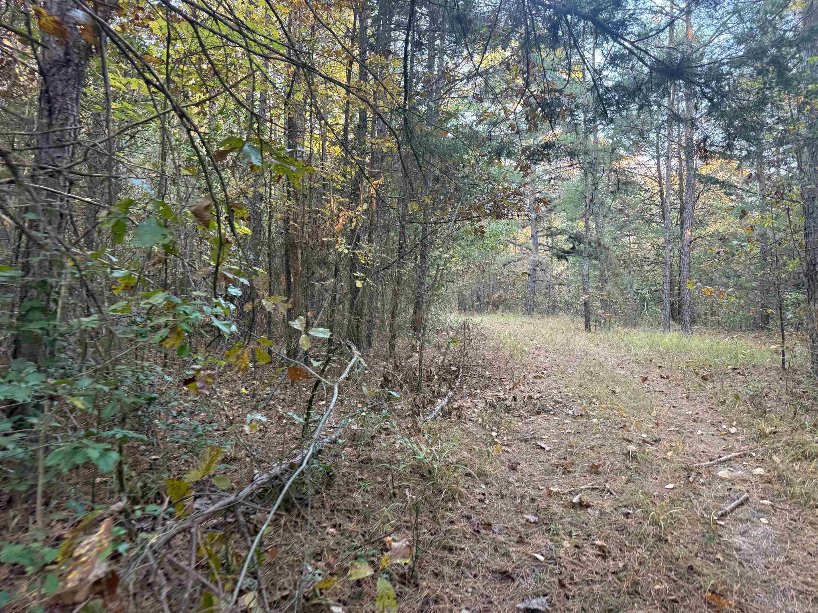 9999 Easement Road Property Photo 12