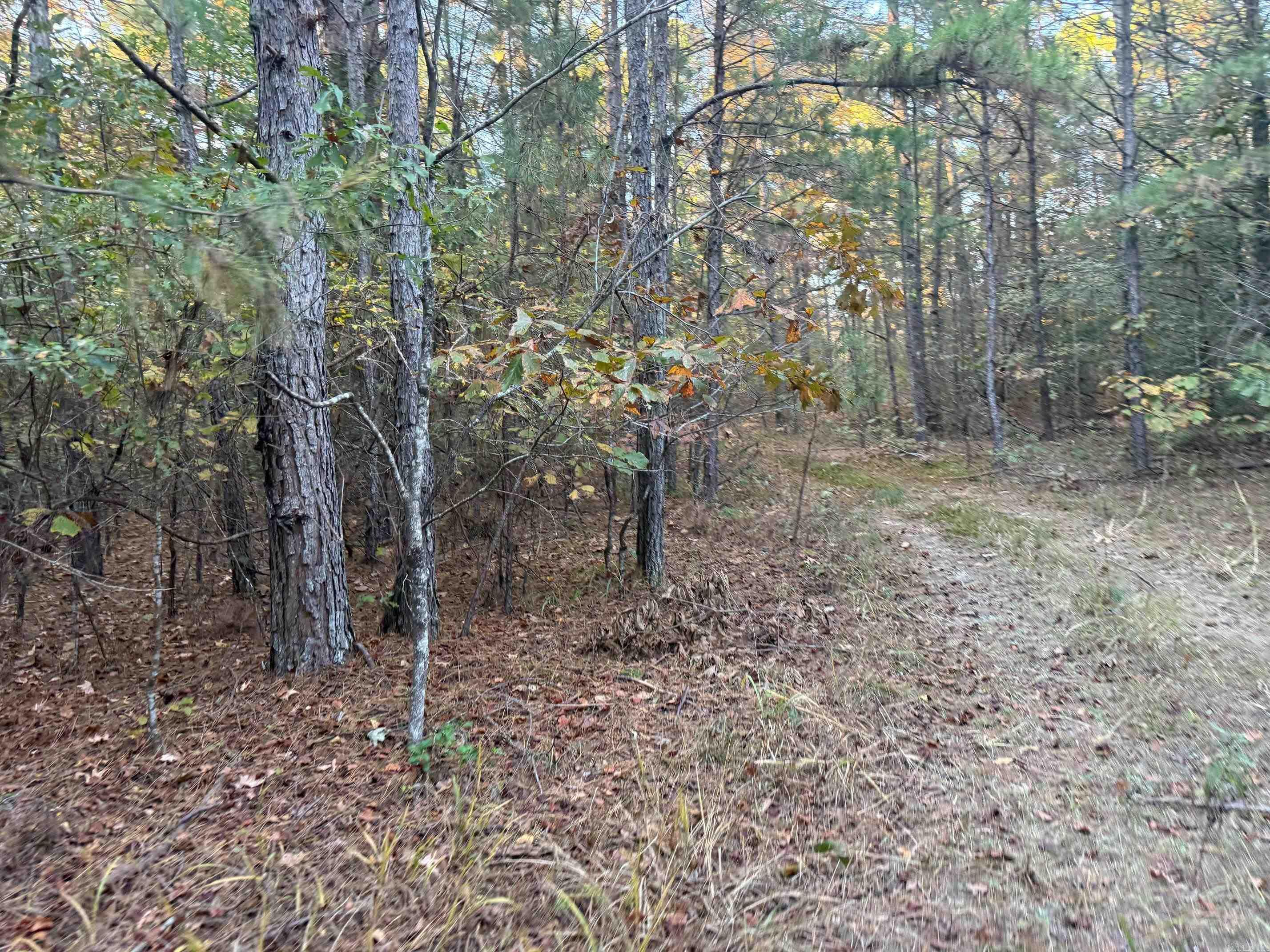 9999 Easement Road Property Photo 13