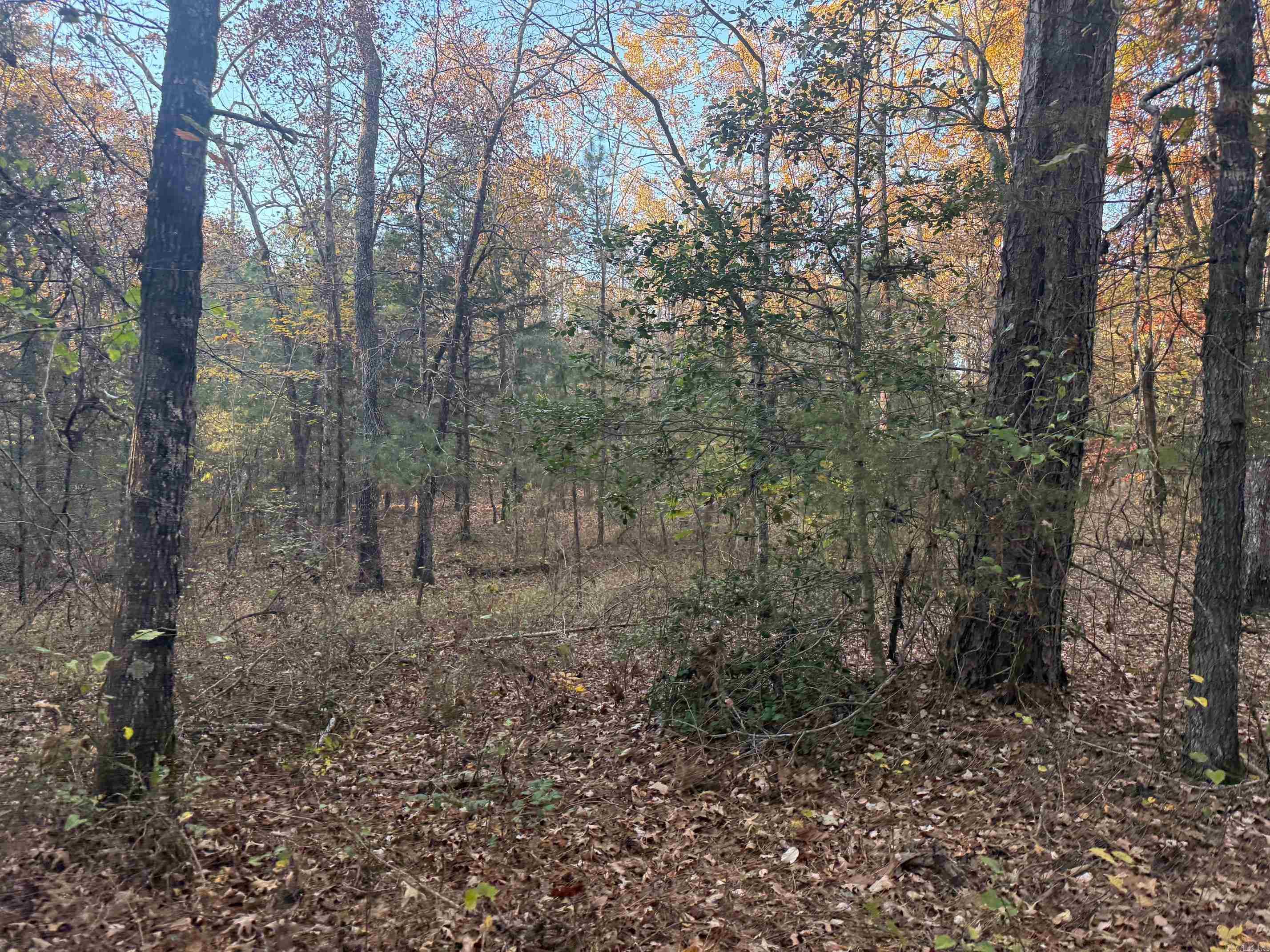 9999 Easement Road Property Photo 14