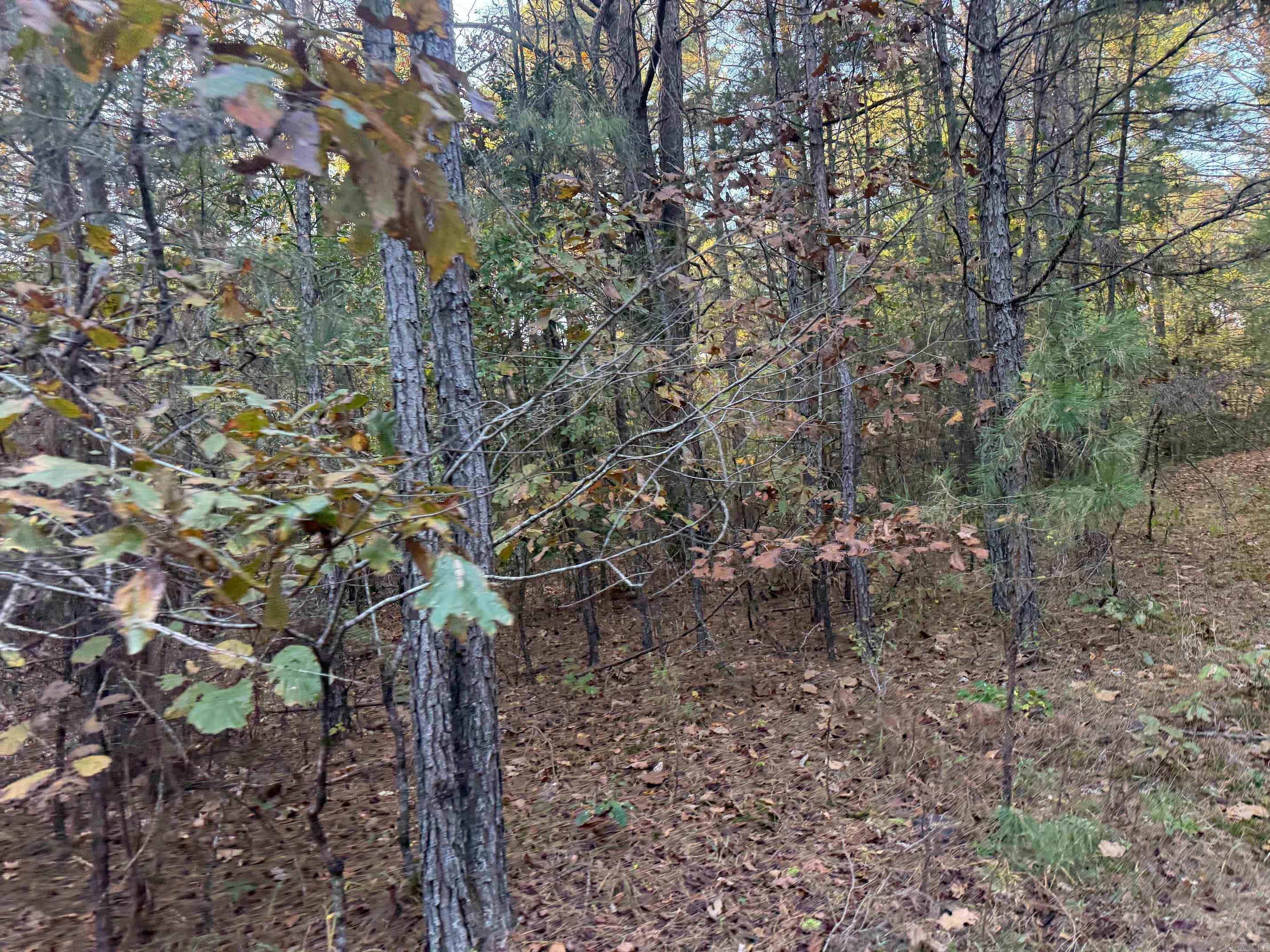 9999 Easement Road Property Photo 15