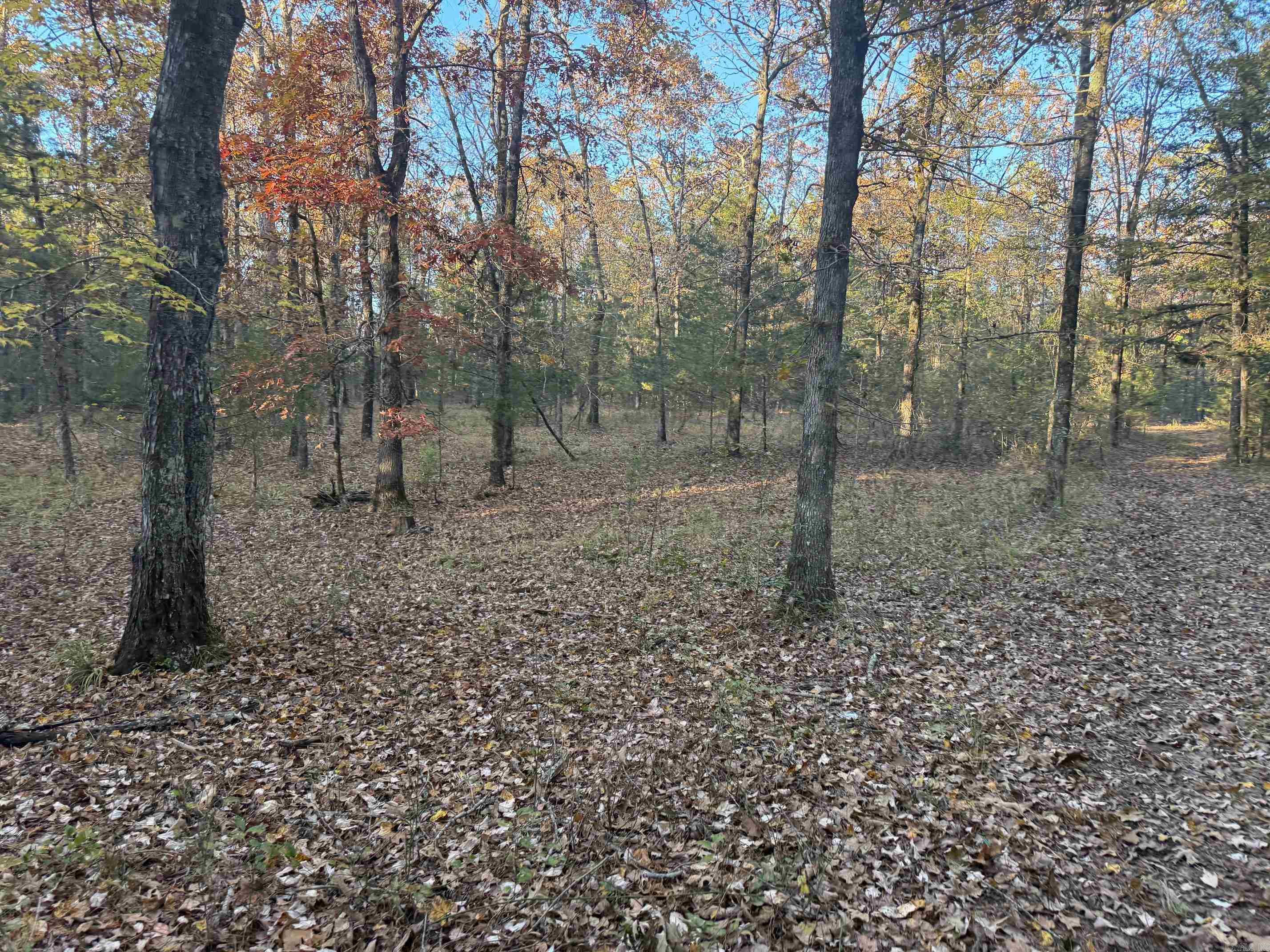 9999 Easement Road Property Photo 16