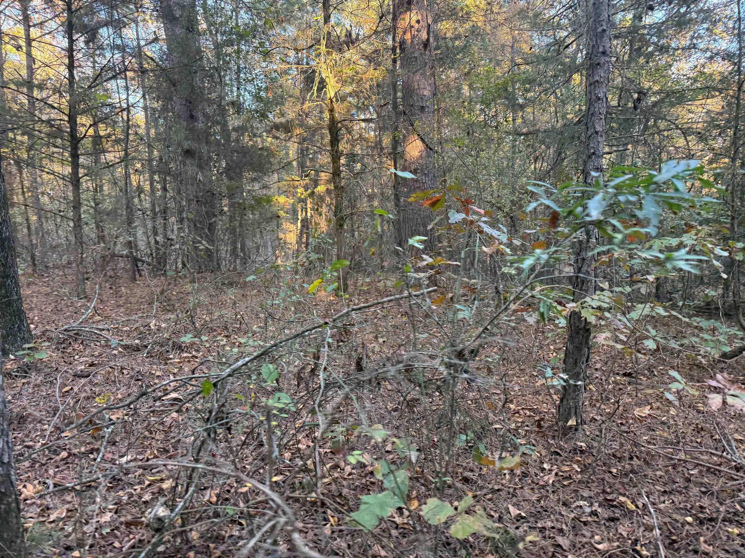 9999 Easement Road Property Photo 17