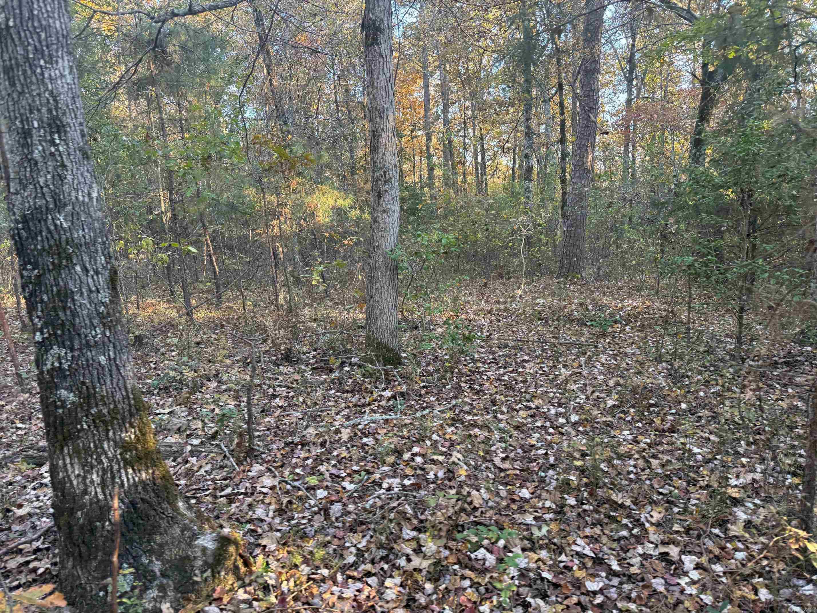 9999 Easement Road Property Photo 18
