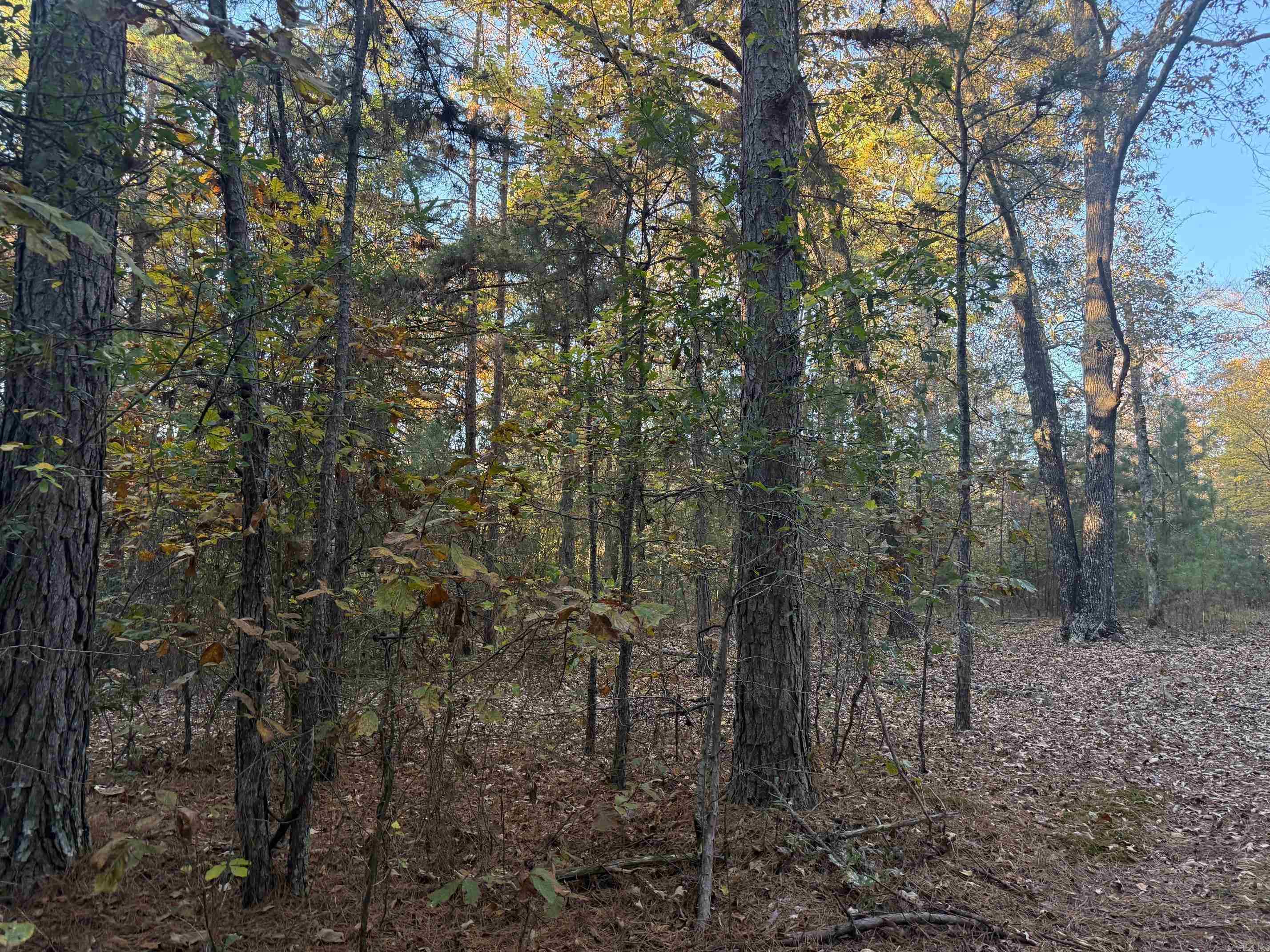 9999 Easement Road Property Photo 19