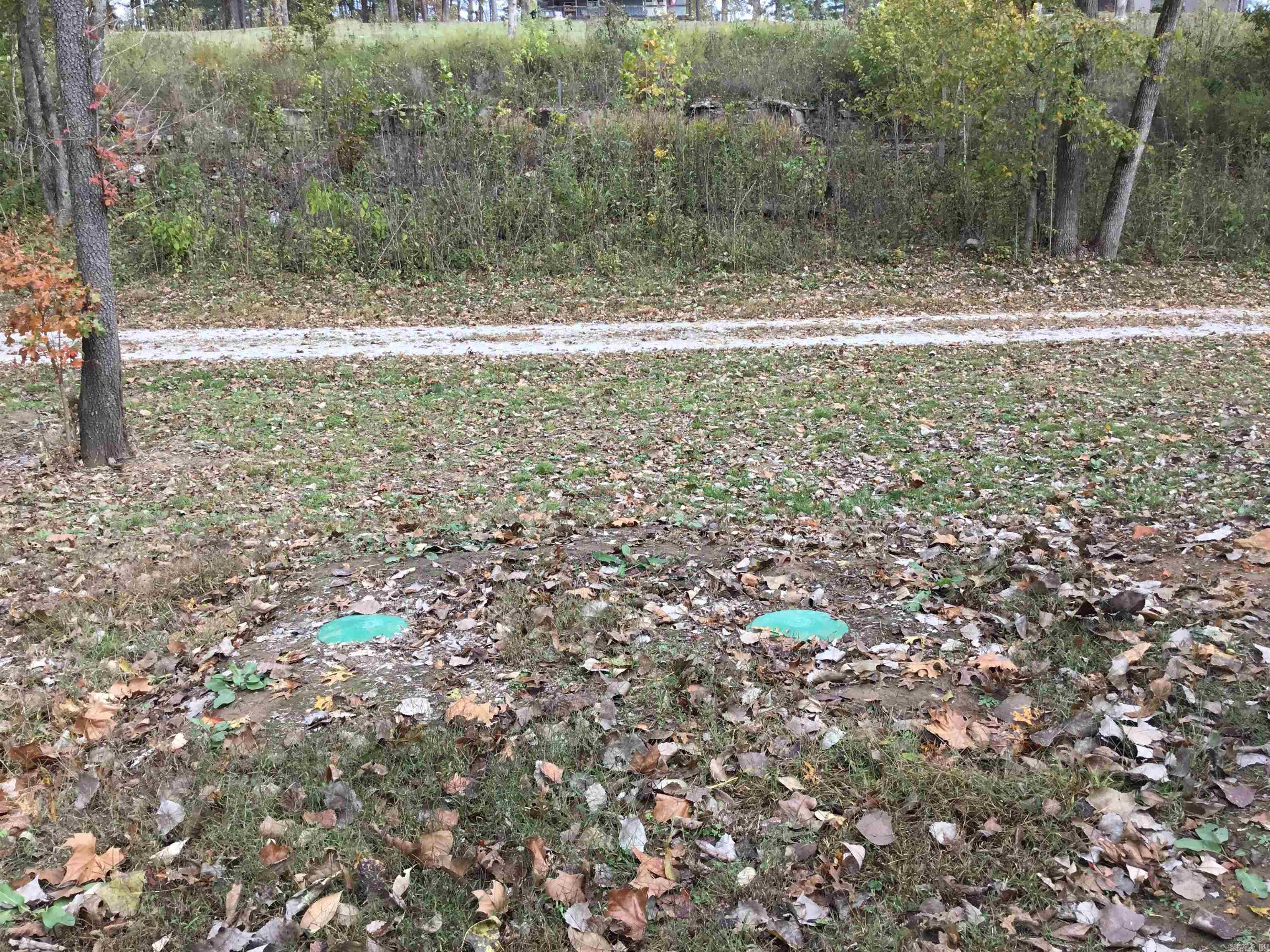 300 Mount Olive Manor Drive Property Photo 11