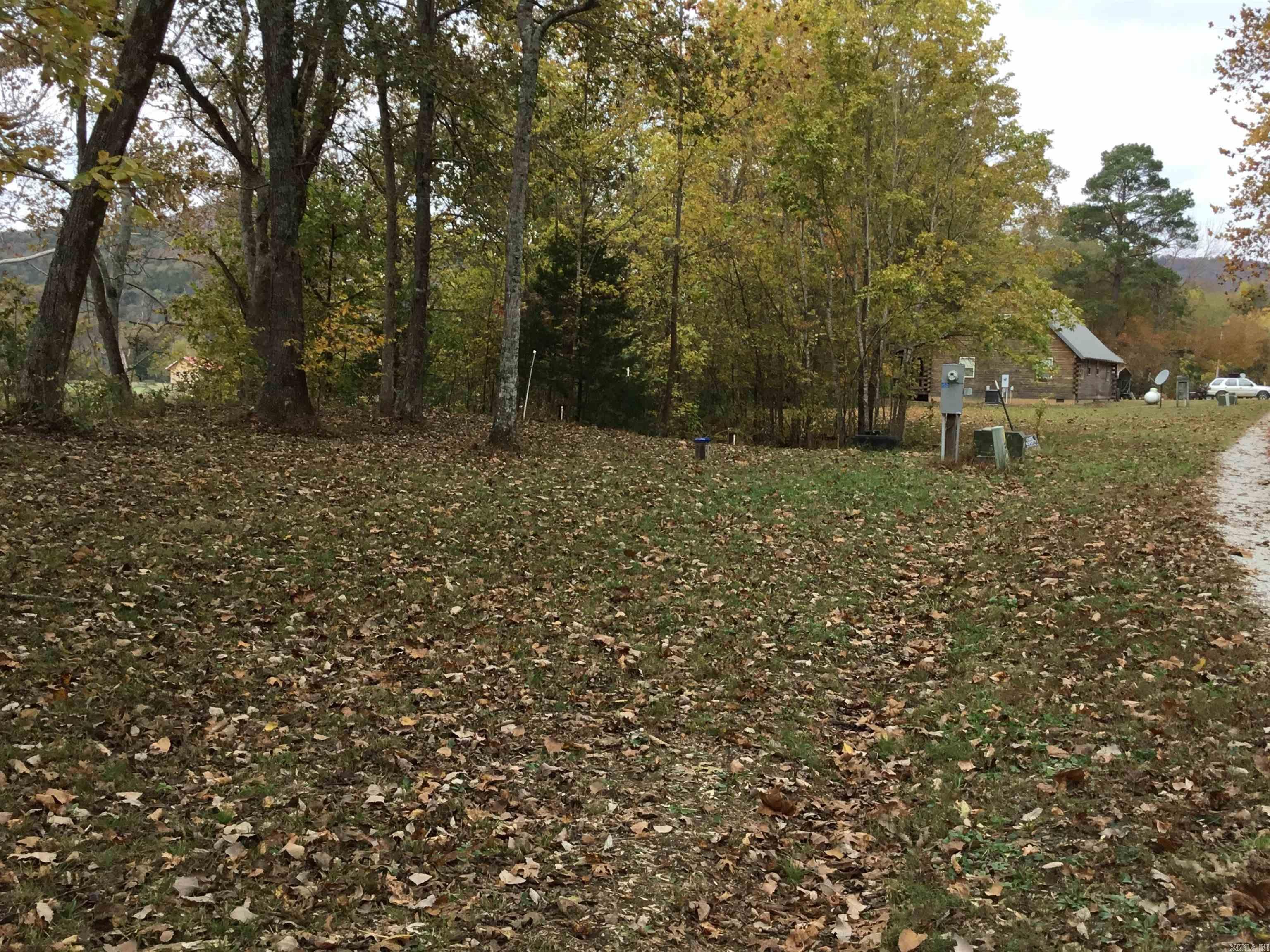 300 Mount Olive Manor Drive Property Photo 13