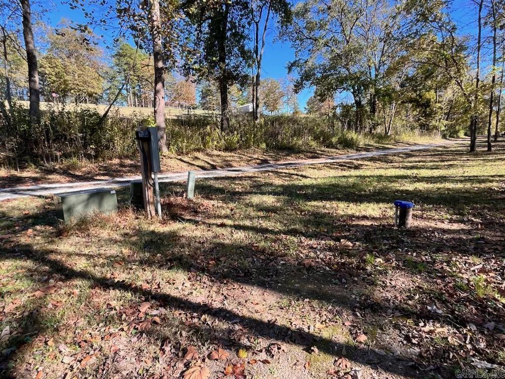 300 Mount Olive Manor Drive Property Photo 23