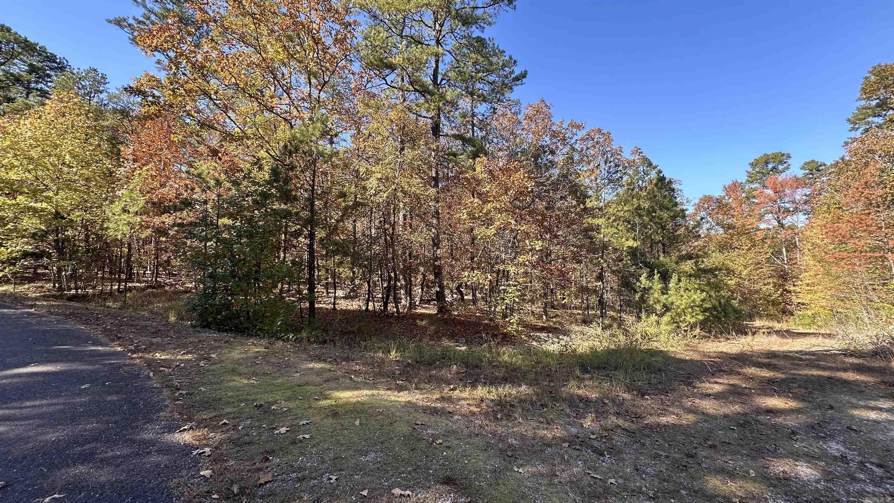 6 Buque Lane Property Photo 1