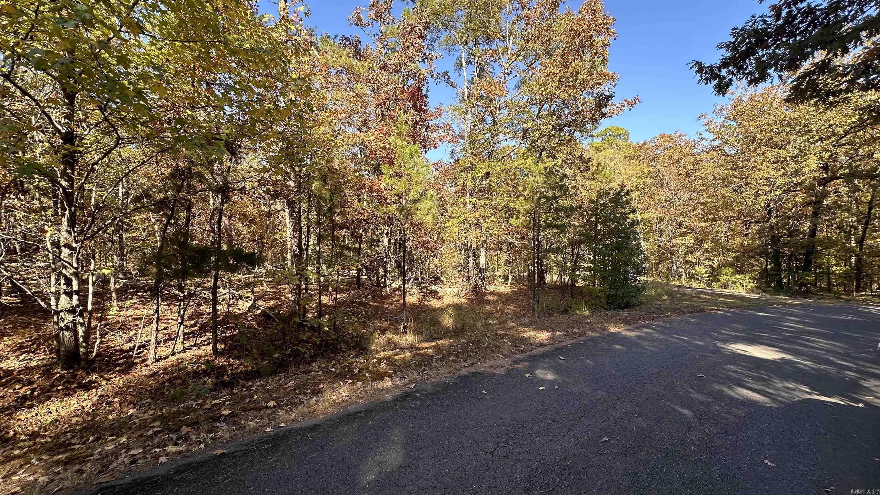 6 Buque Lane Property Photo 4