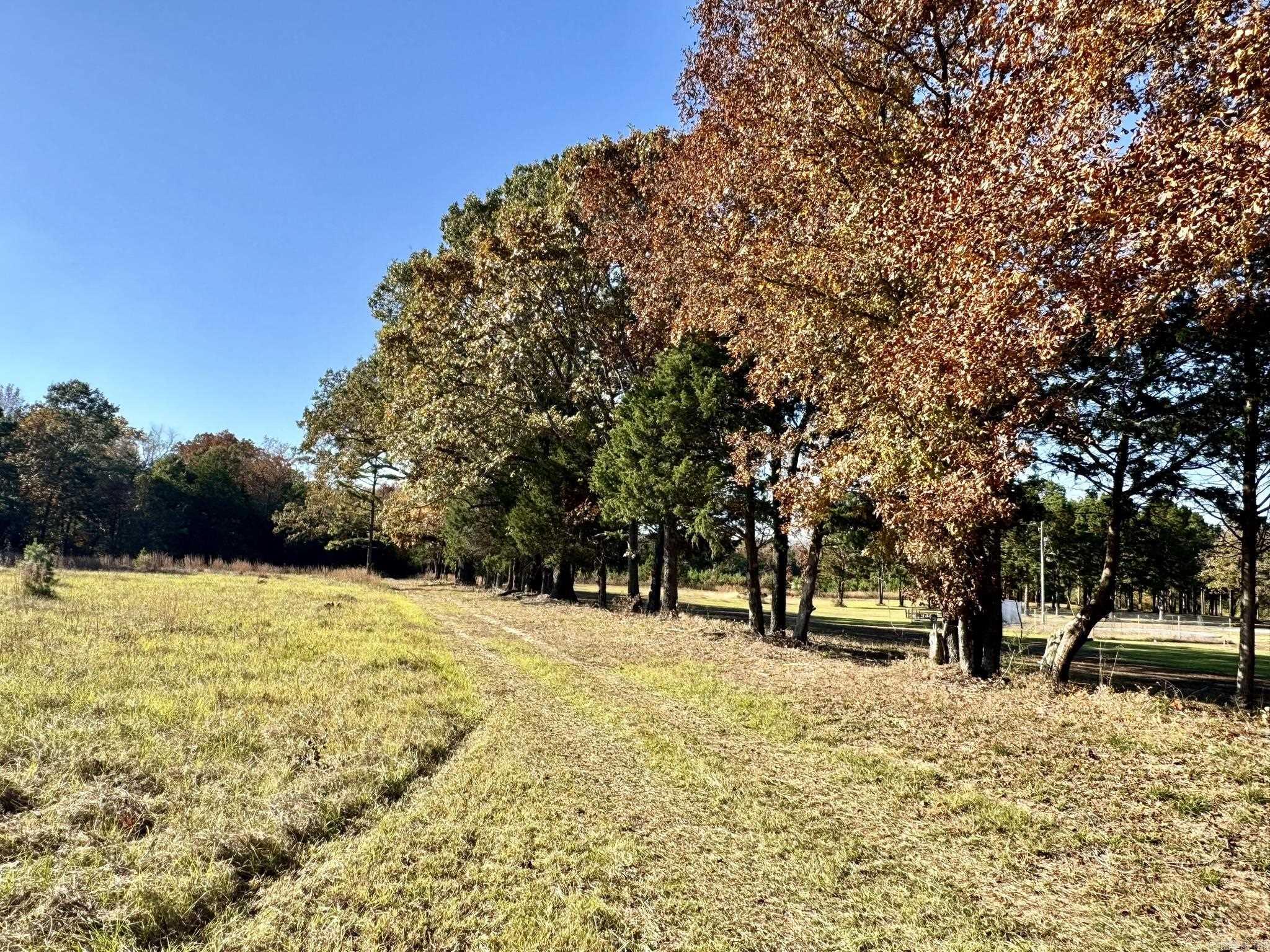 150 Holloway Lane Property Photo 3