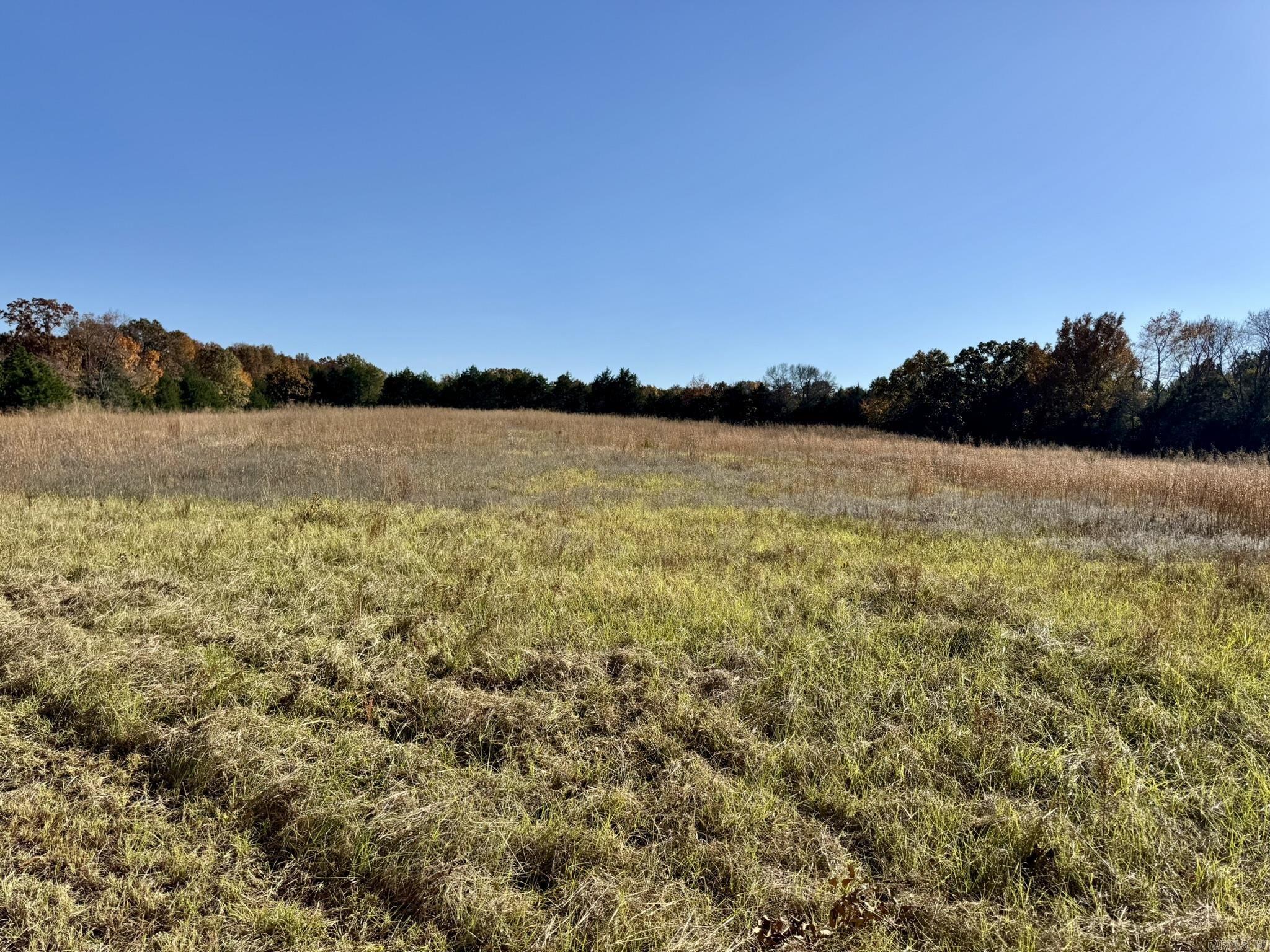 150 Holloway Lane Property Photo 4