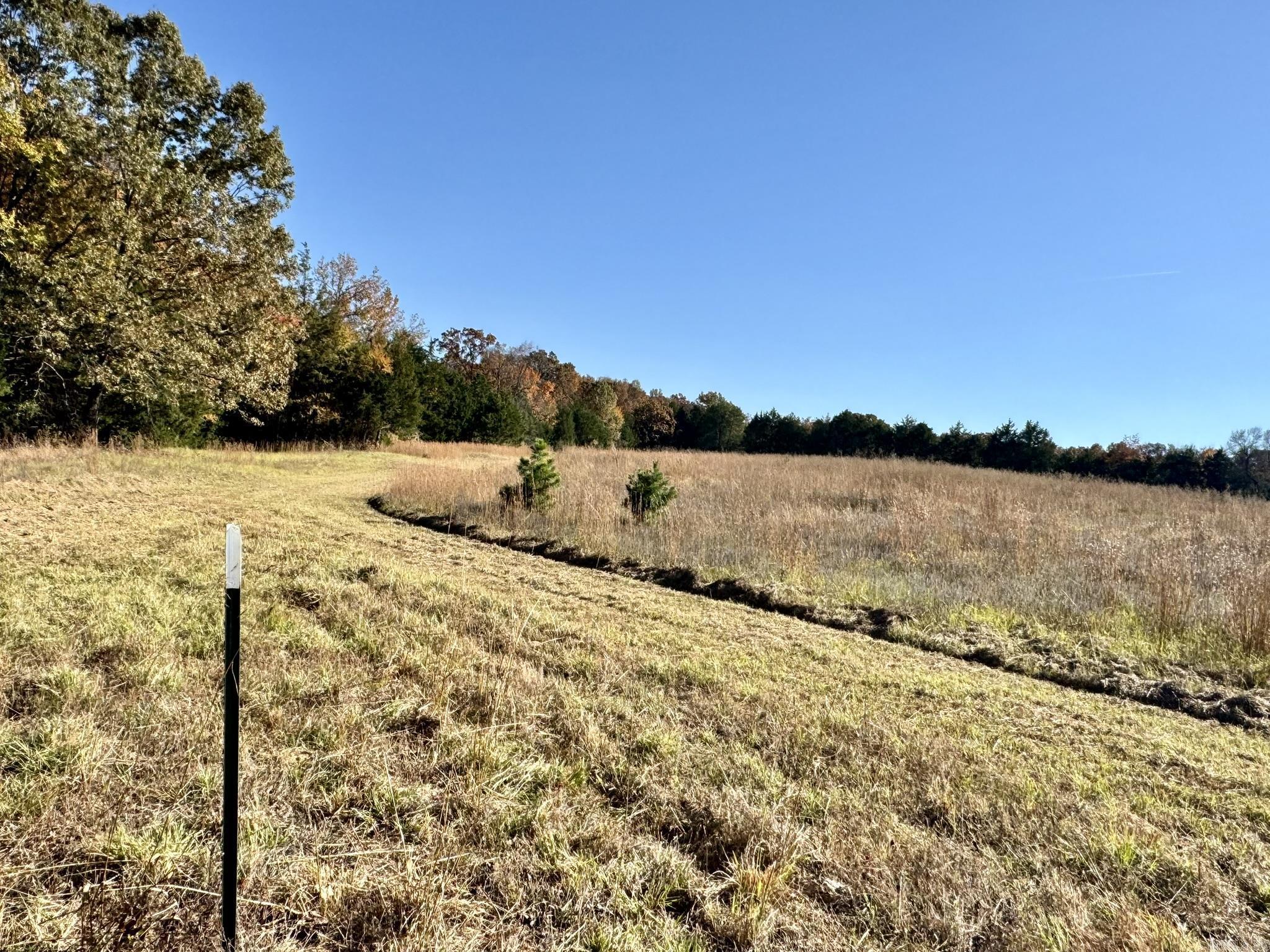 150 Holloway Lane Property Photo 6