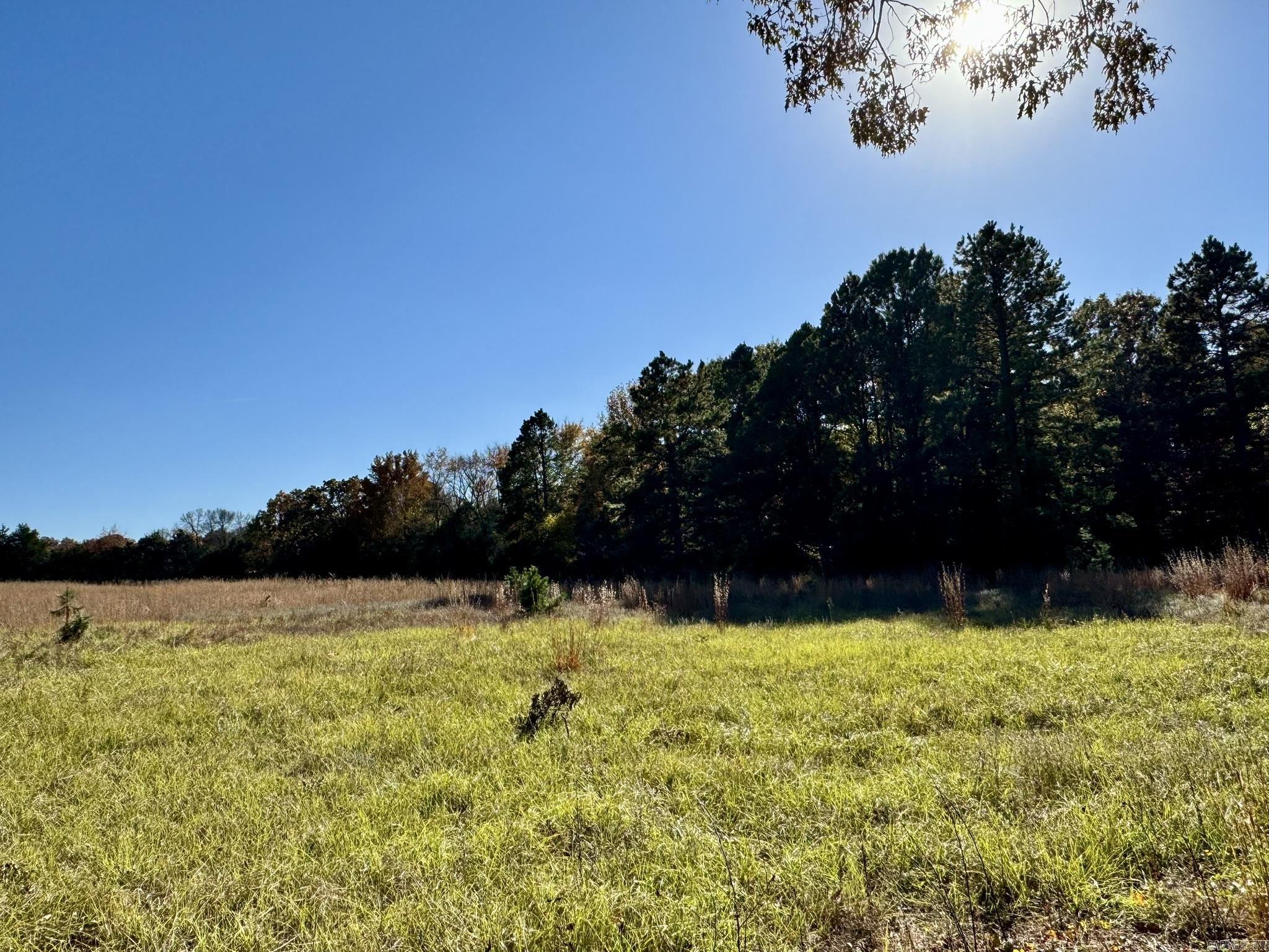 150 Holloway Lane Property Photo 7
