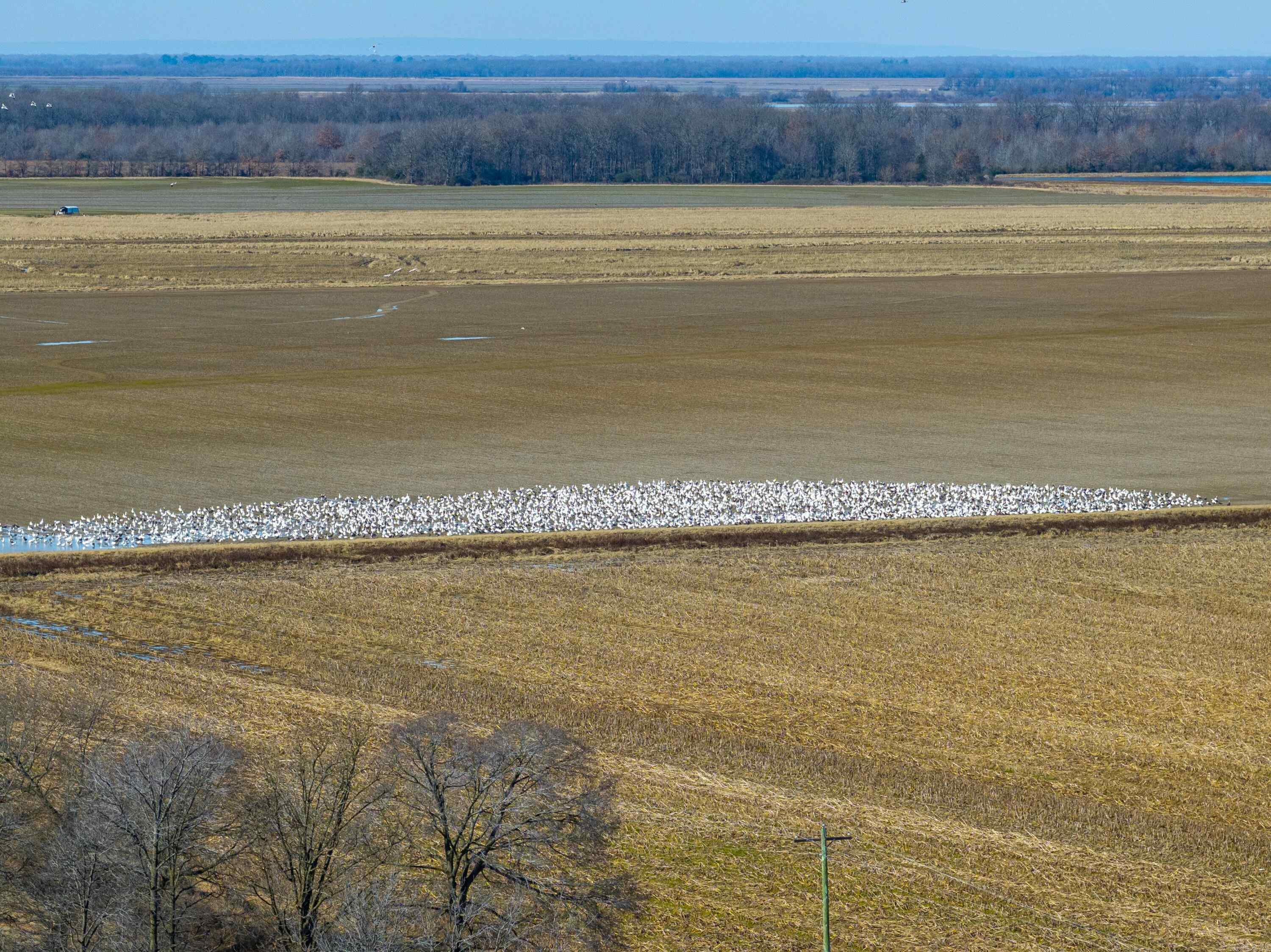 County Road 136 Property Photo 10