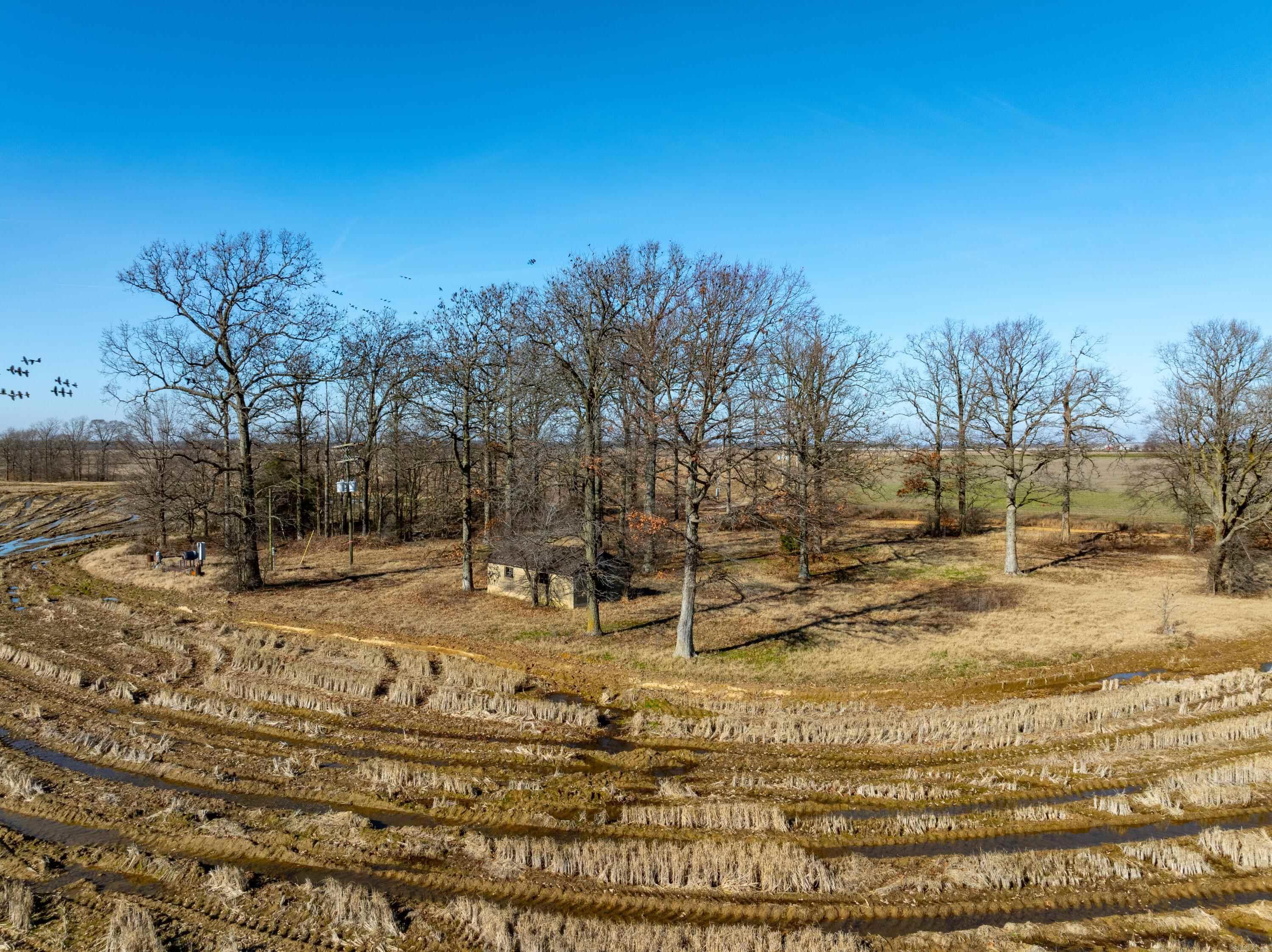 County Road 136 Property Photo 13
