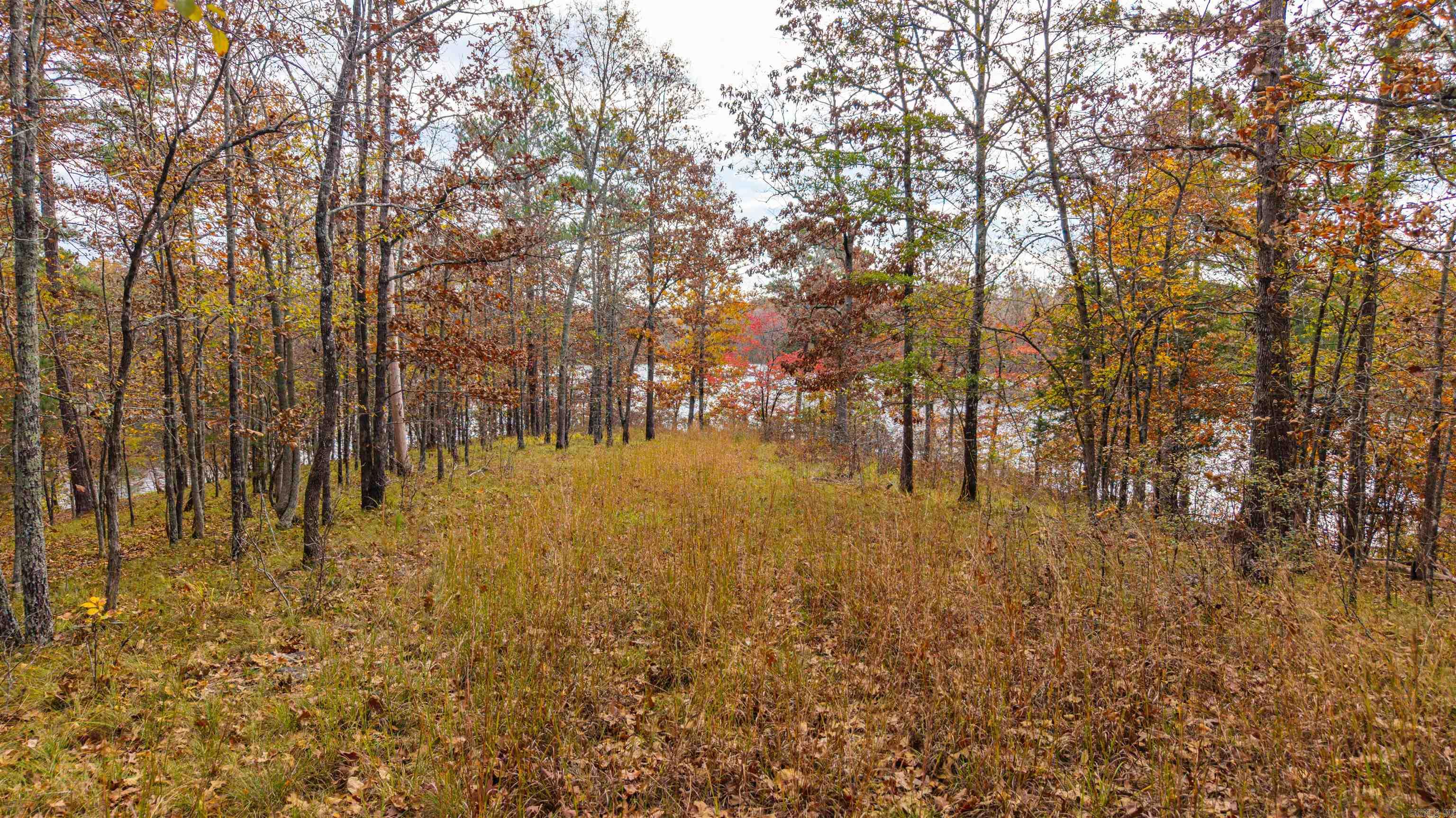 238 Dellmere Drive Property Photo 3