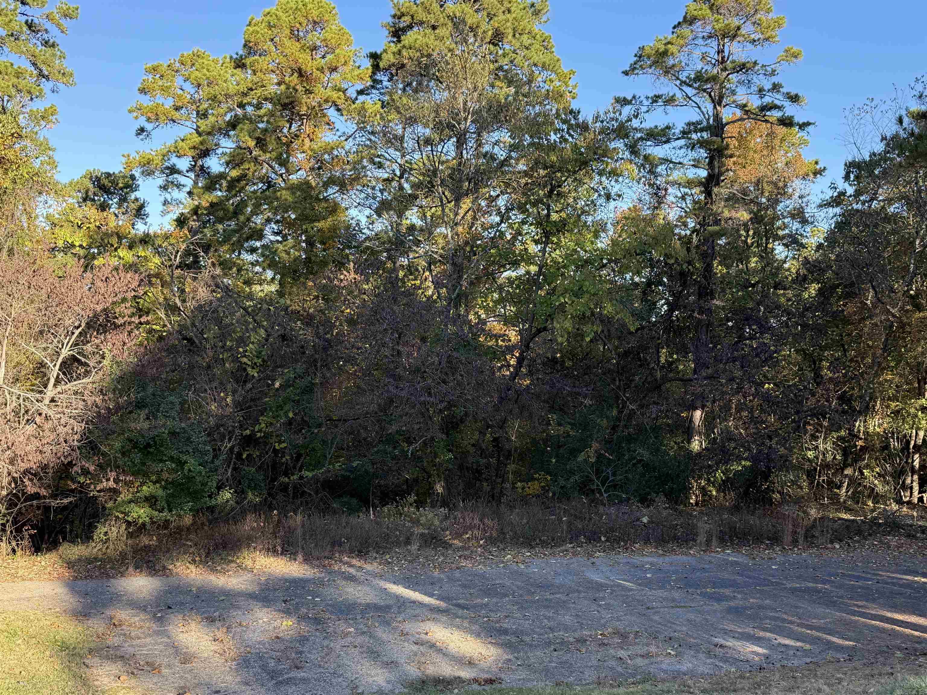 111 Desoto Boulevard Property Photo 7