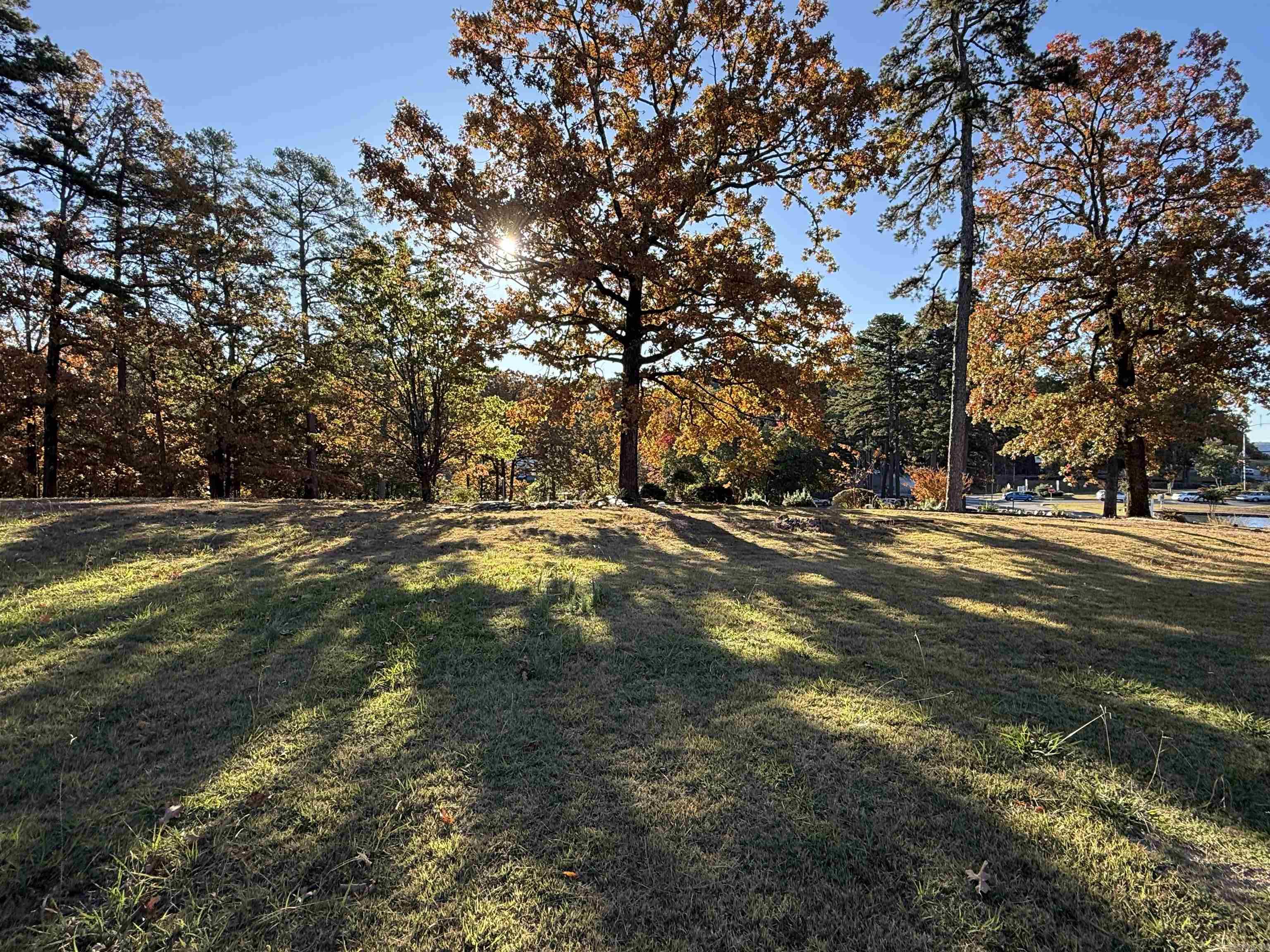 111 Desoto Boulevard Property Photo 8